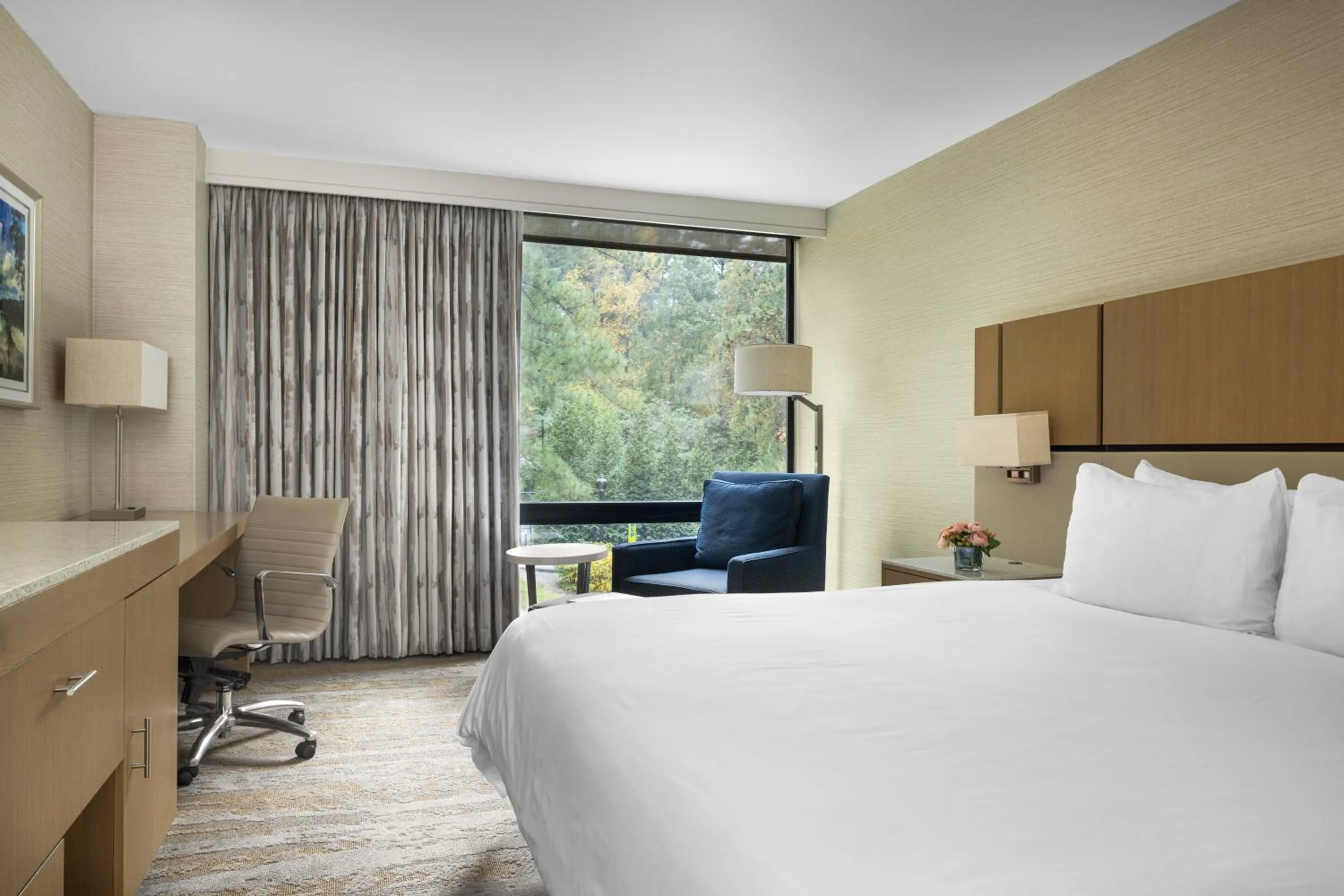 Superior Single in JB Duke Hotel