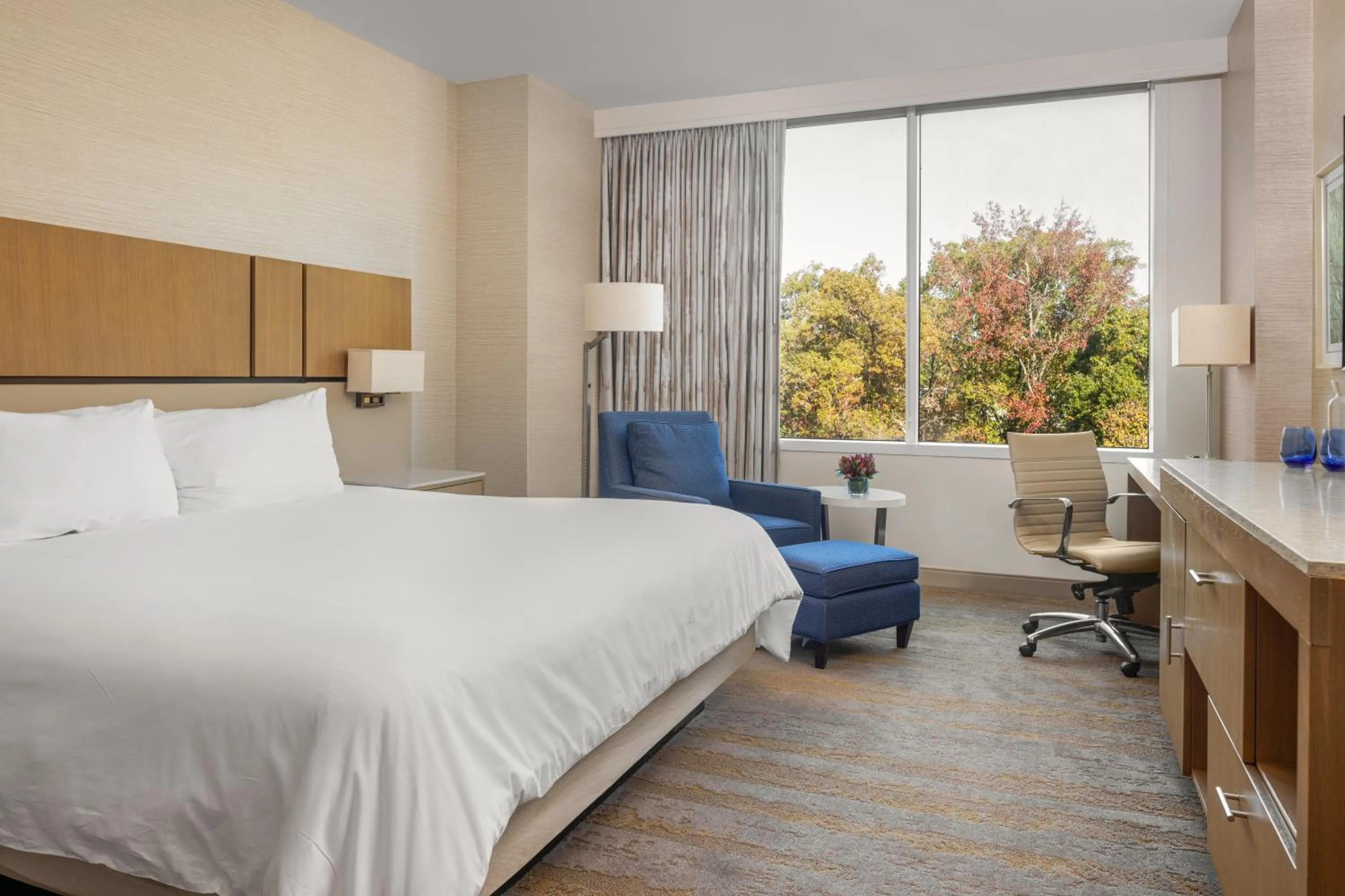 Deluxe Studio in JB Duke Hotel