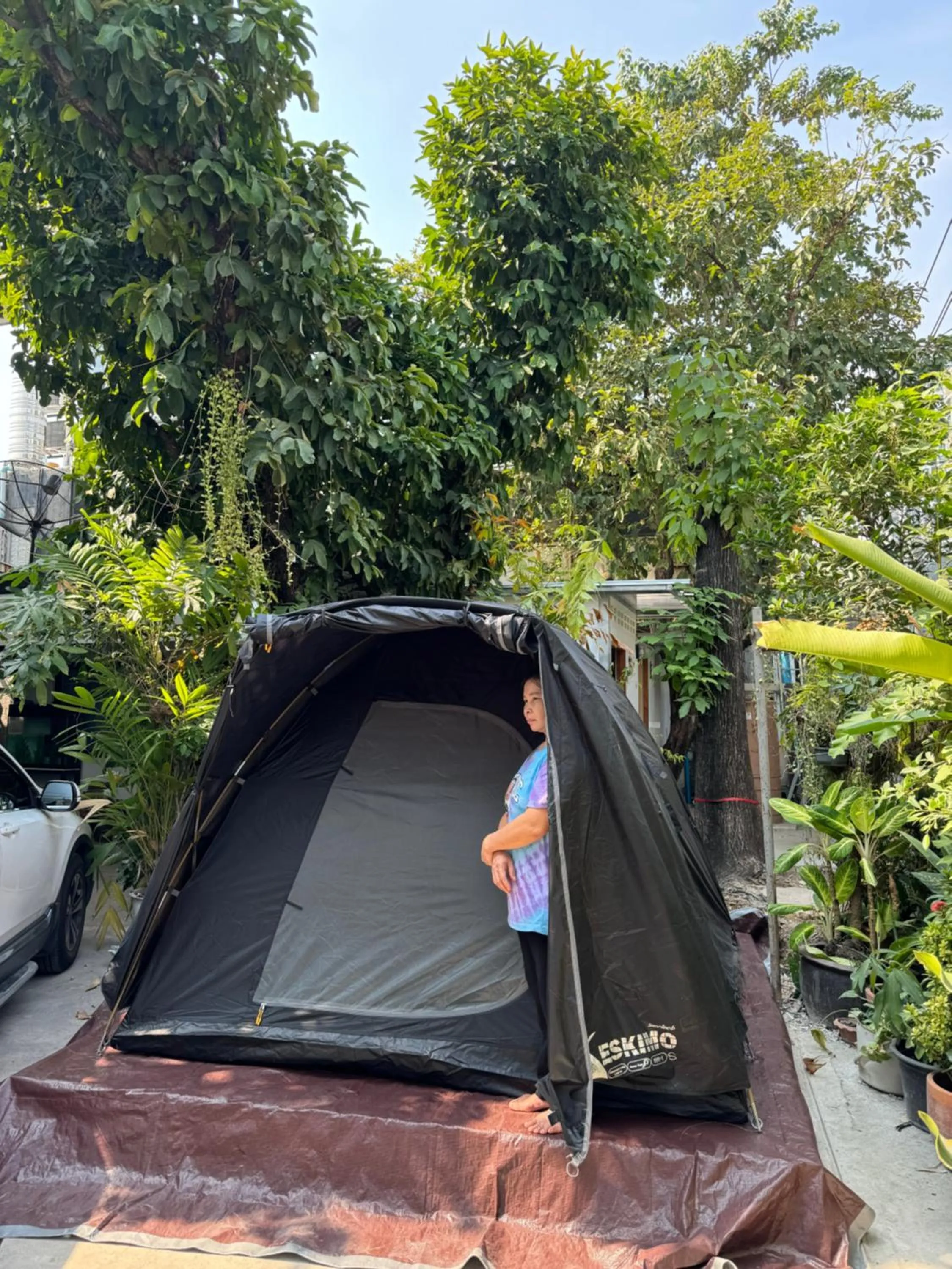 Jungle Tent - single occupancy - Male Only in Many Trees