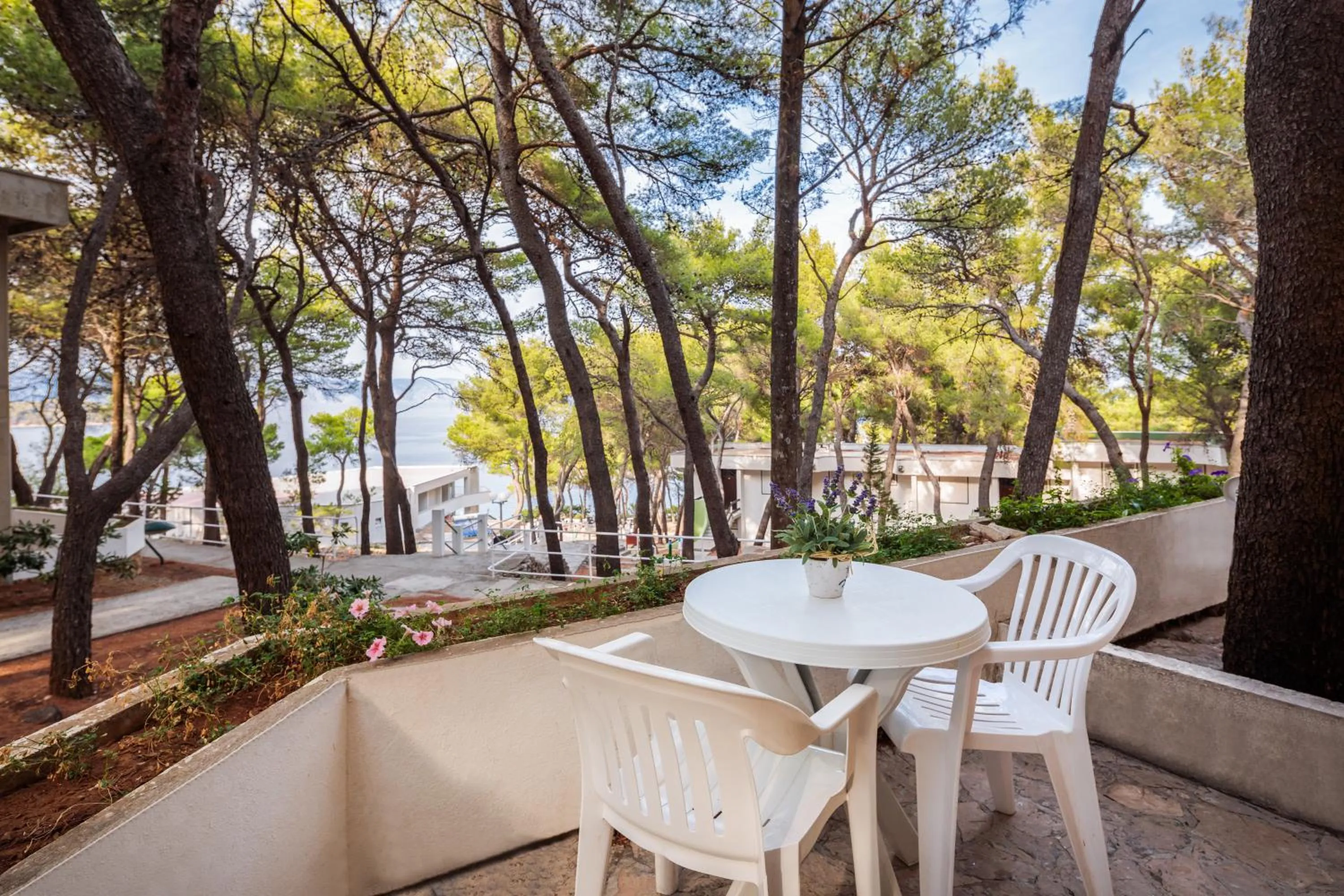 Double Room with Terrace - single occupancy in Fontana Resort