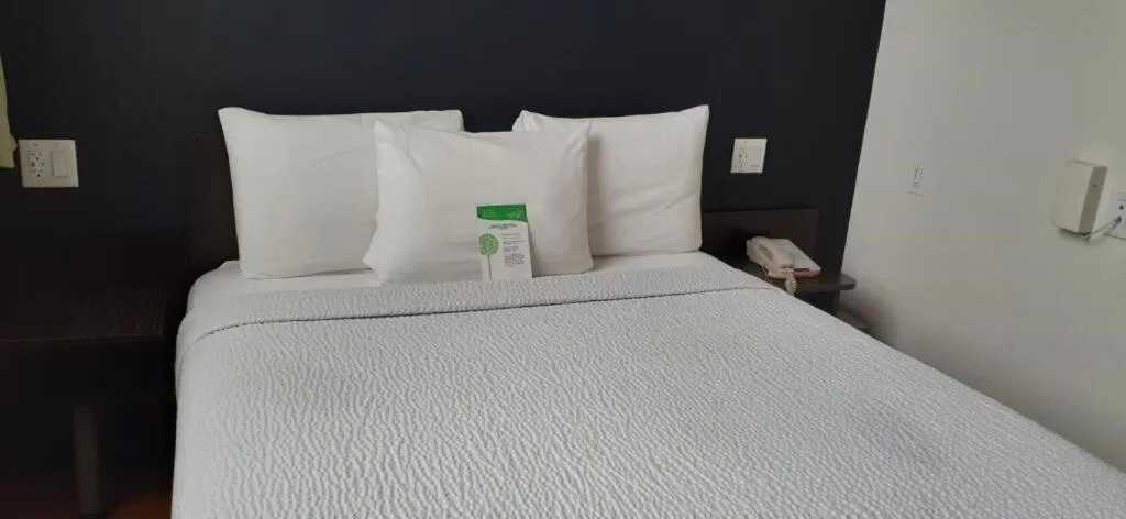 King Room in Feather Factory Hotel