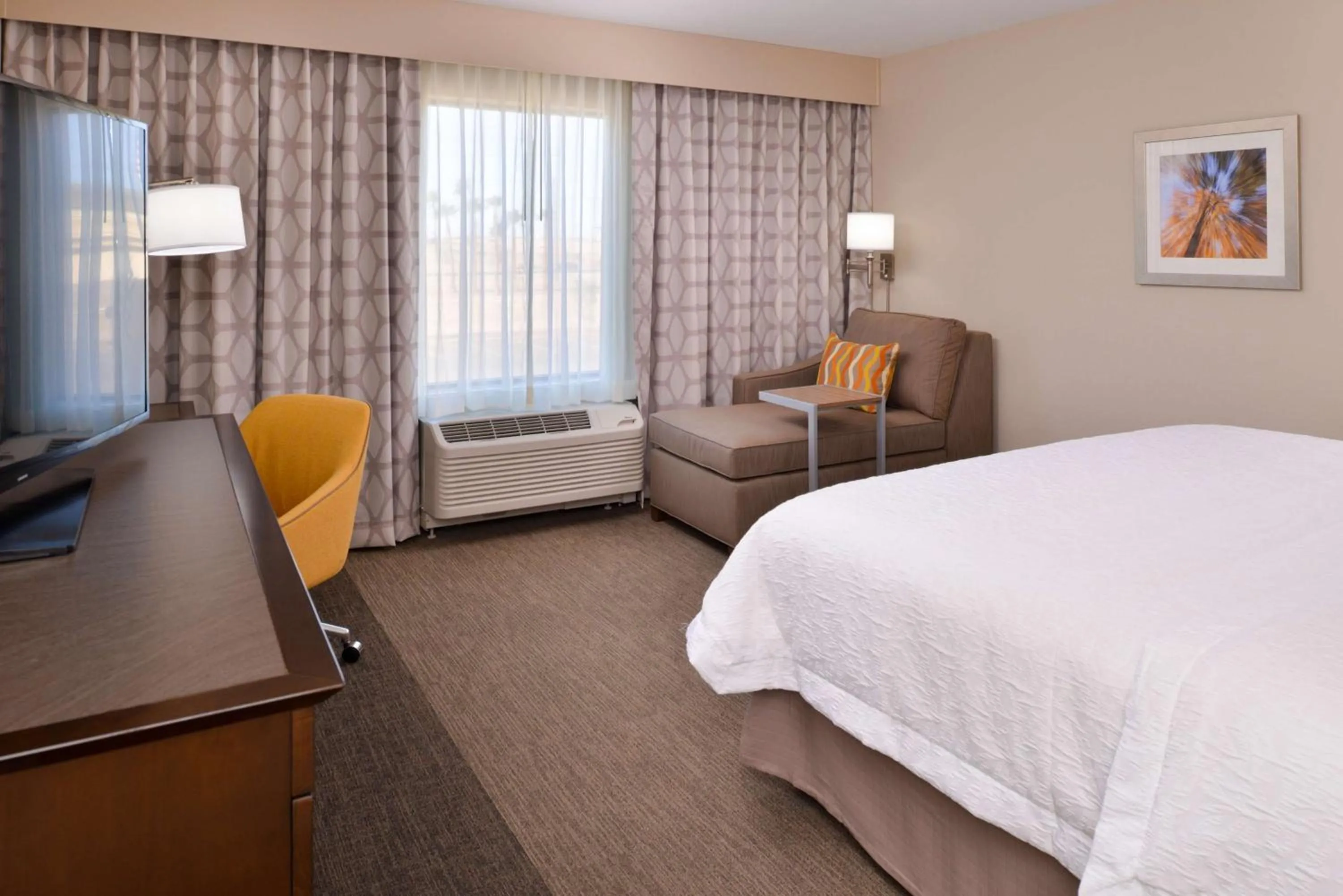 King Room with Roll-In Shower - single occupancy - Mobility Access/Non-Smoking in Hampton Inn El Centro