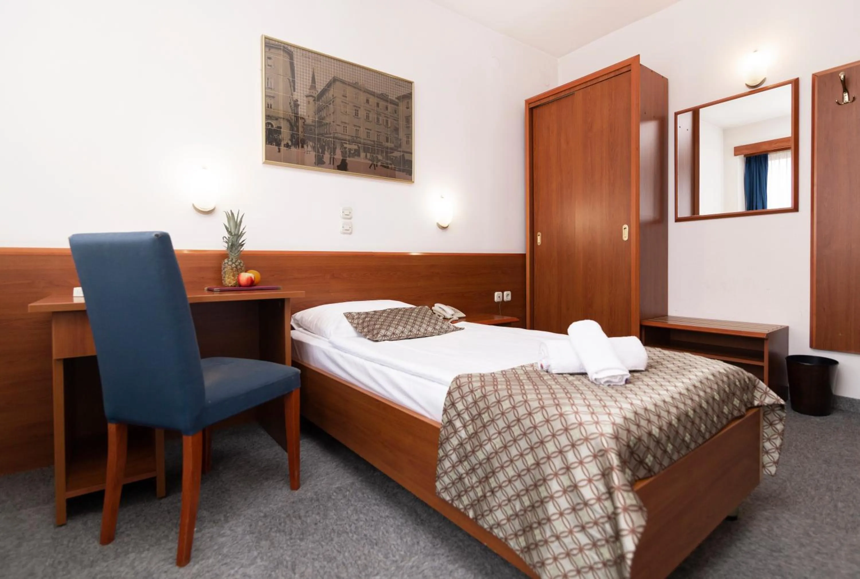 Standard Single Room - single occupancy in Hotel Neboder