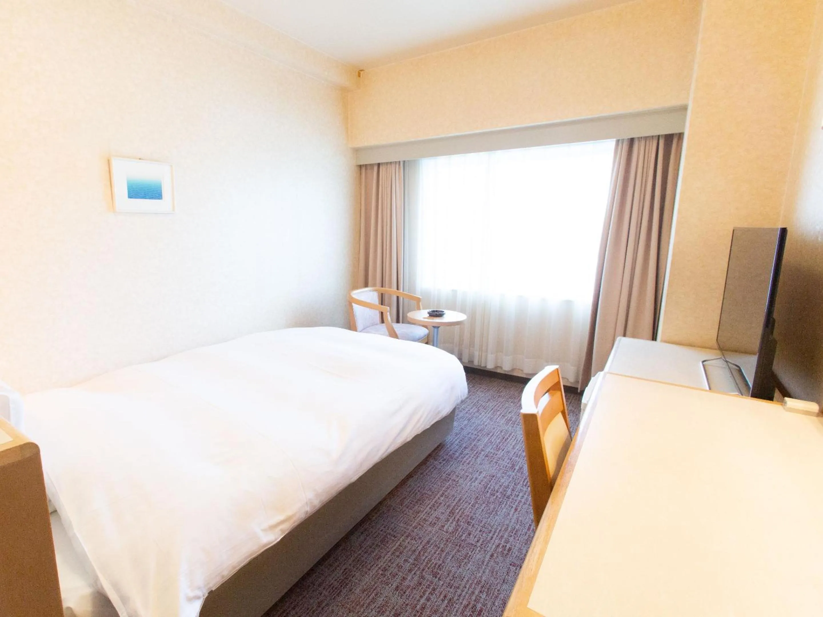 Small Double Room - Smoking in Toyama Chitetsu Hotel