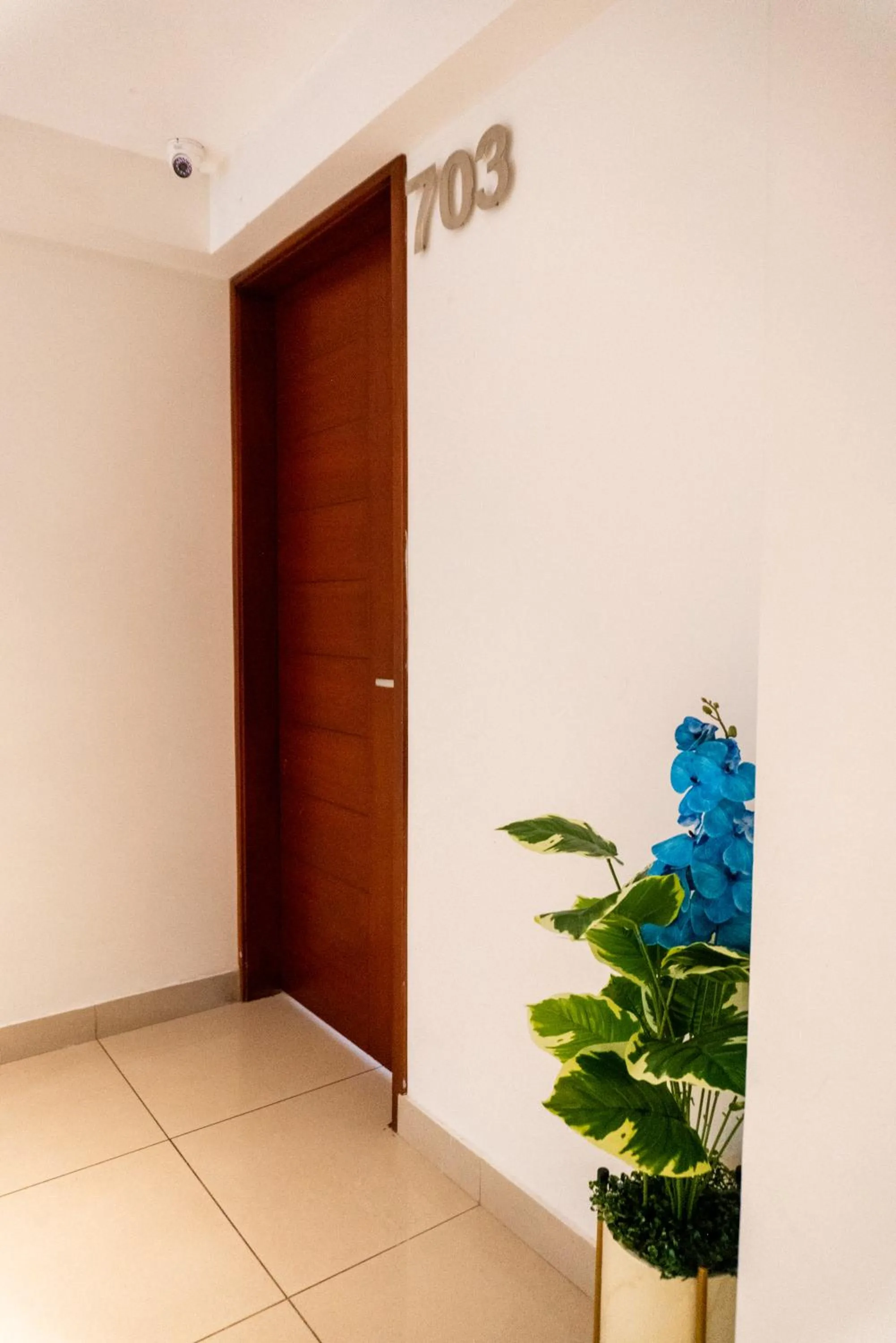 Junior Suite in Apart Hotel Petit Palace Suites