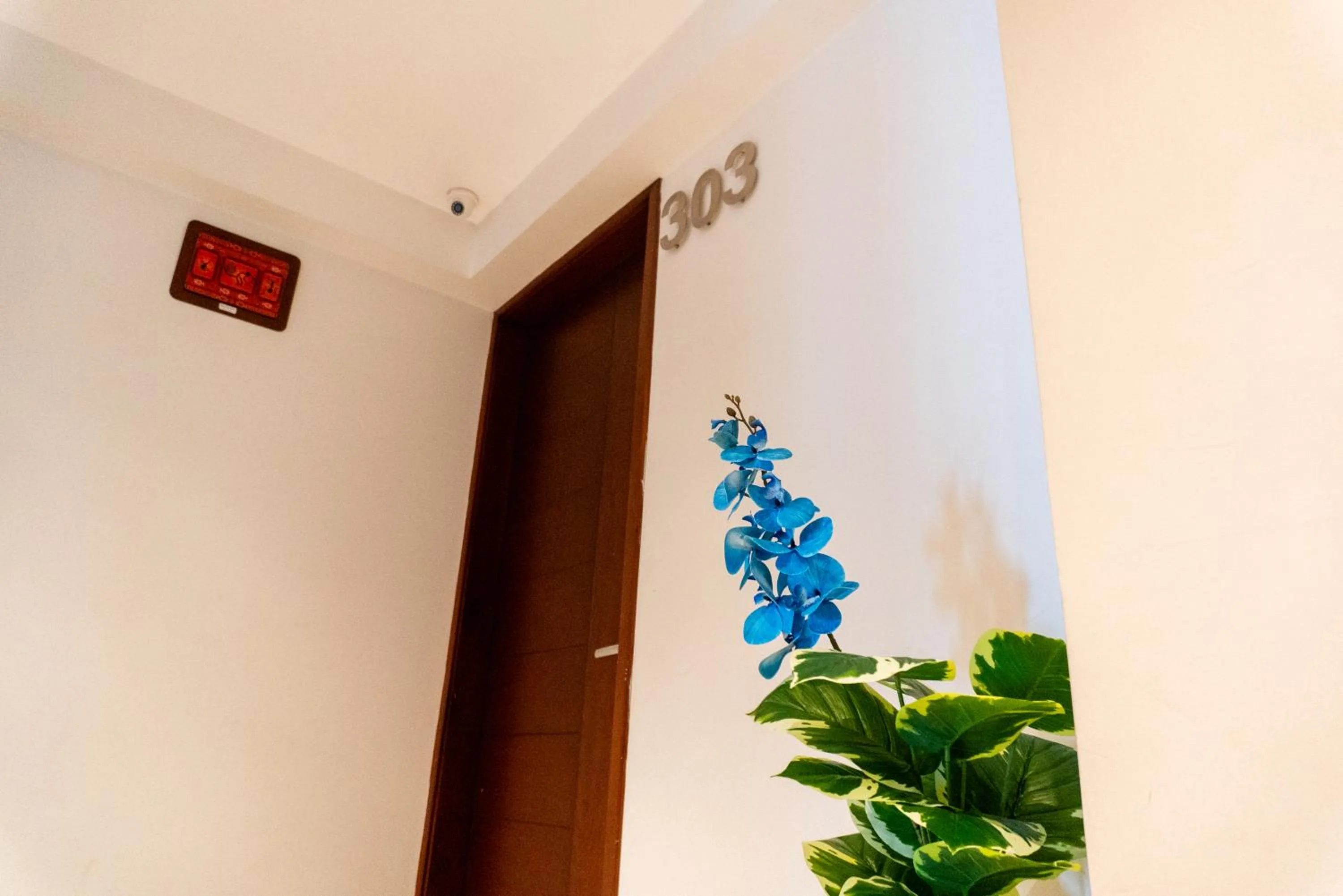 Executive Suite in Apart Hotel Petit Palace Suites