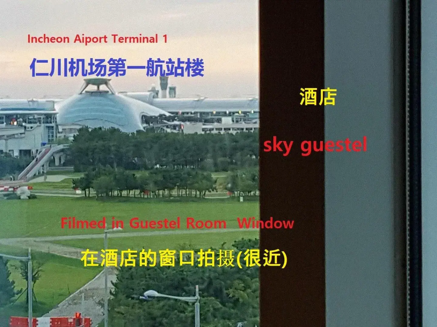 Sky Guestel Sky Guestel