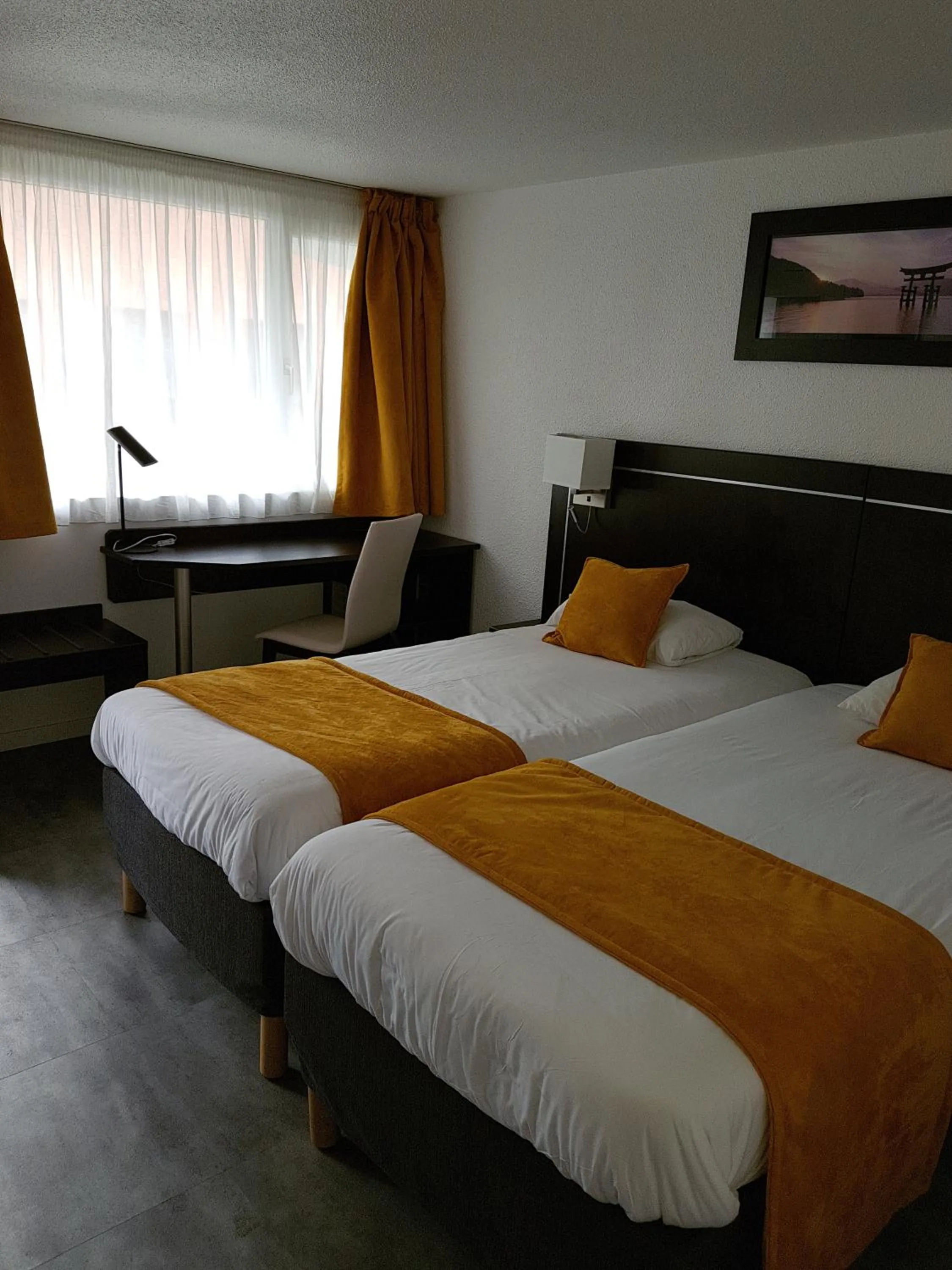 3 Single Beds in Kyriad Lille Est - Hem