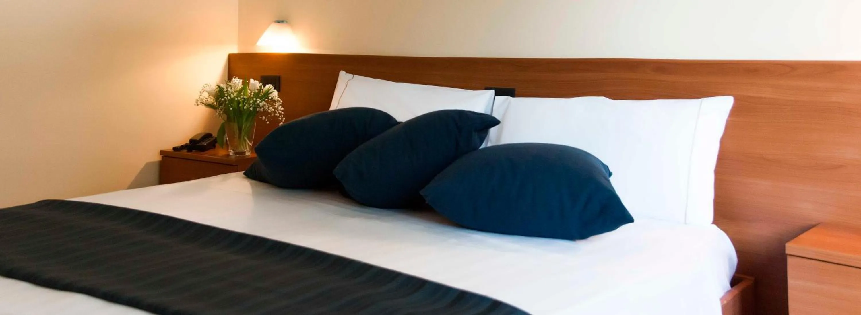 Standard Double Room in Park Hotel