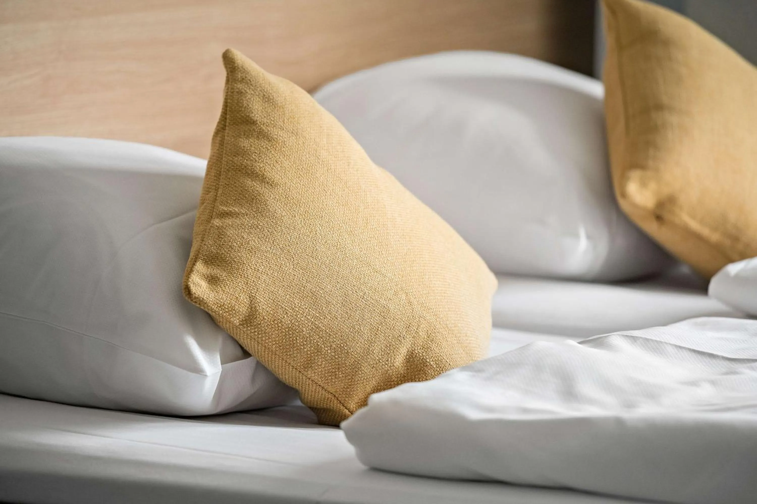 Family Room with One Double Bed and Sofa Bed - Terrace/Non-Smoking in Best Western Hotel Hillerød