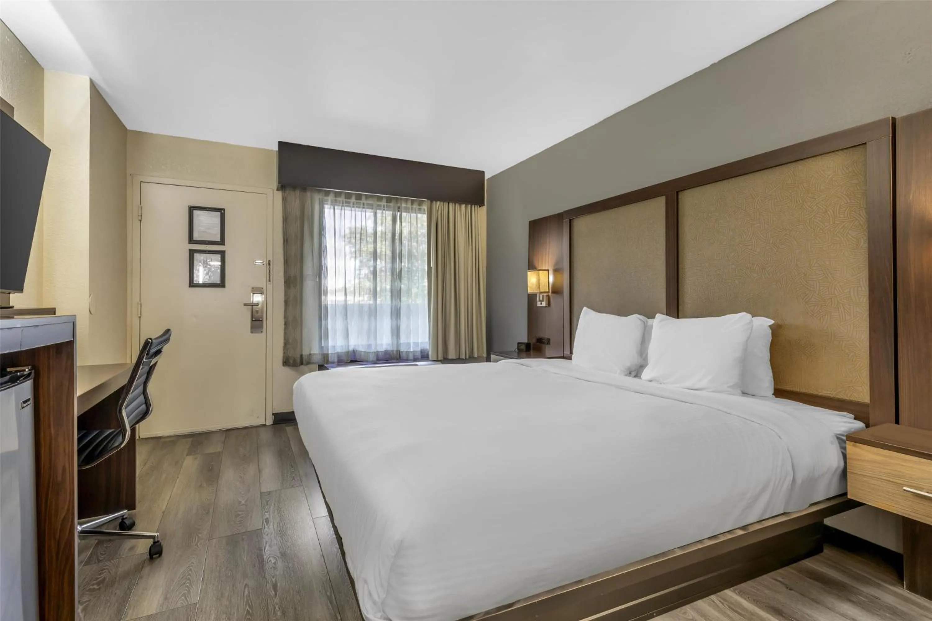 King Room - Smoking  in Best Western Salisbury Plaza