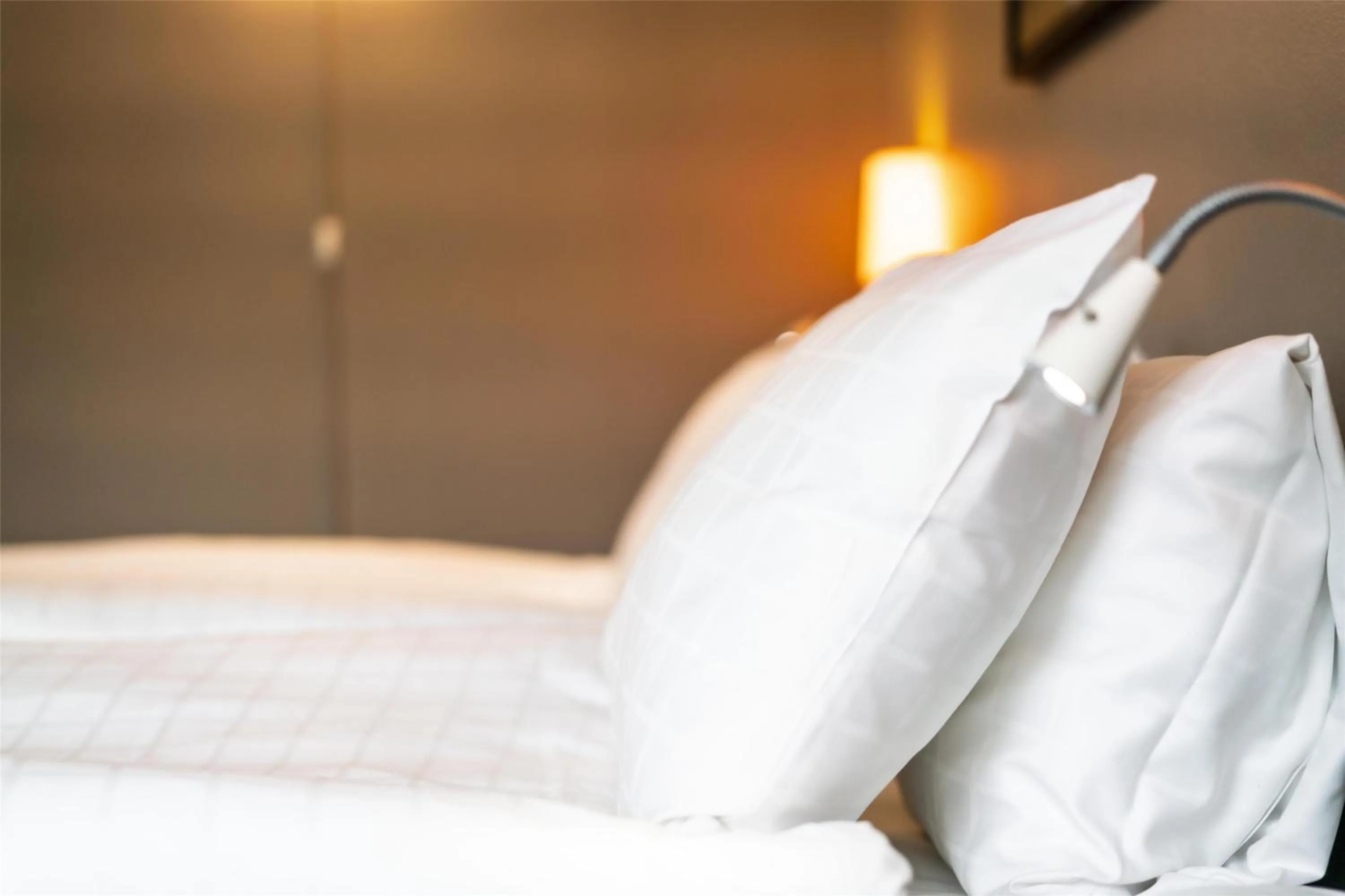 Standard King Room in Scandic Backadal