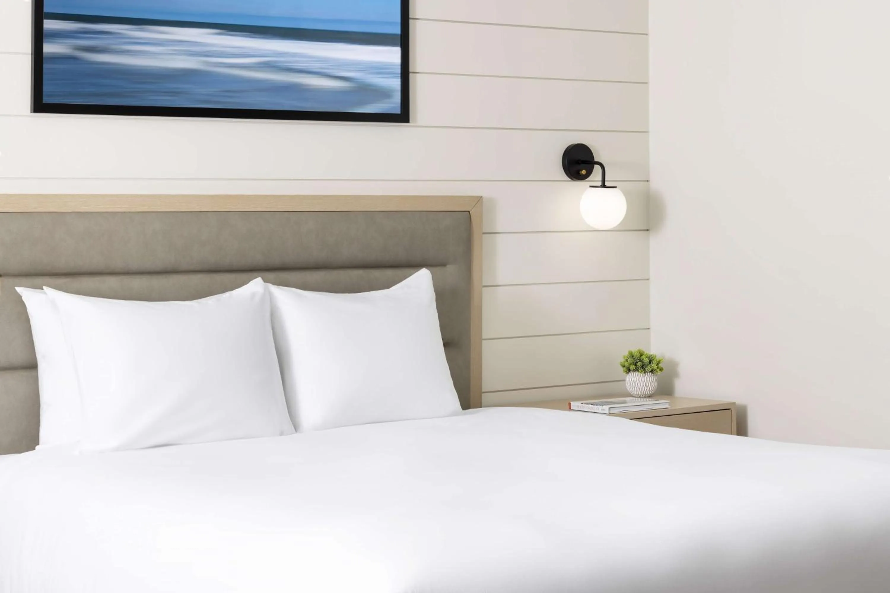 Double Room in The Pell, Part of JdV by Hyatt