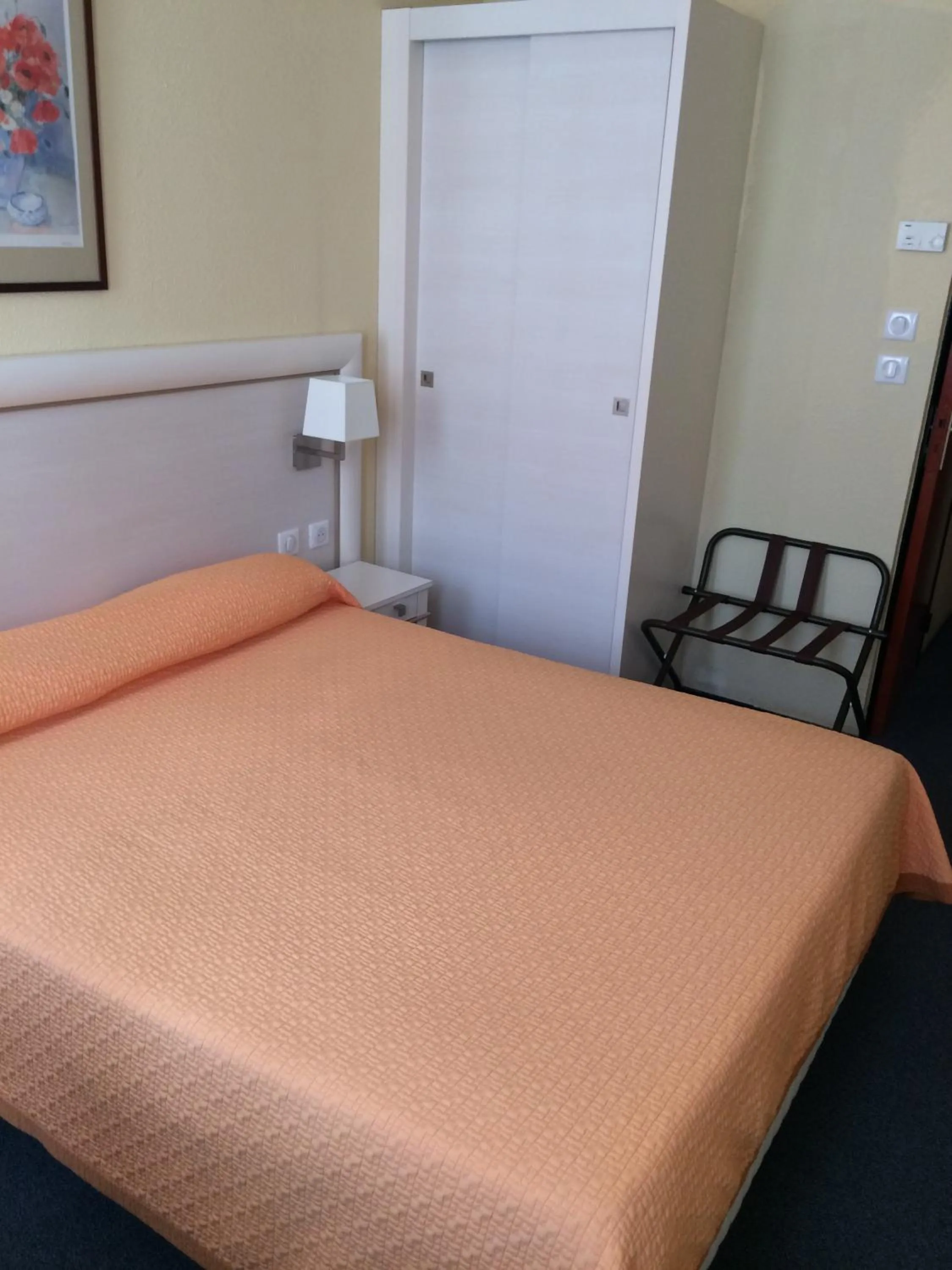 Standard Double Room in Hotel Elysée