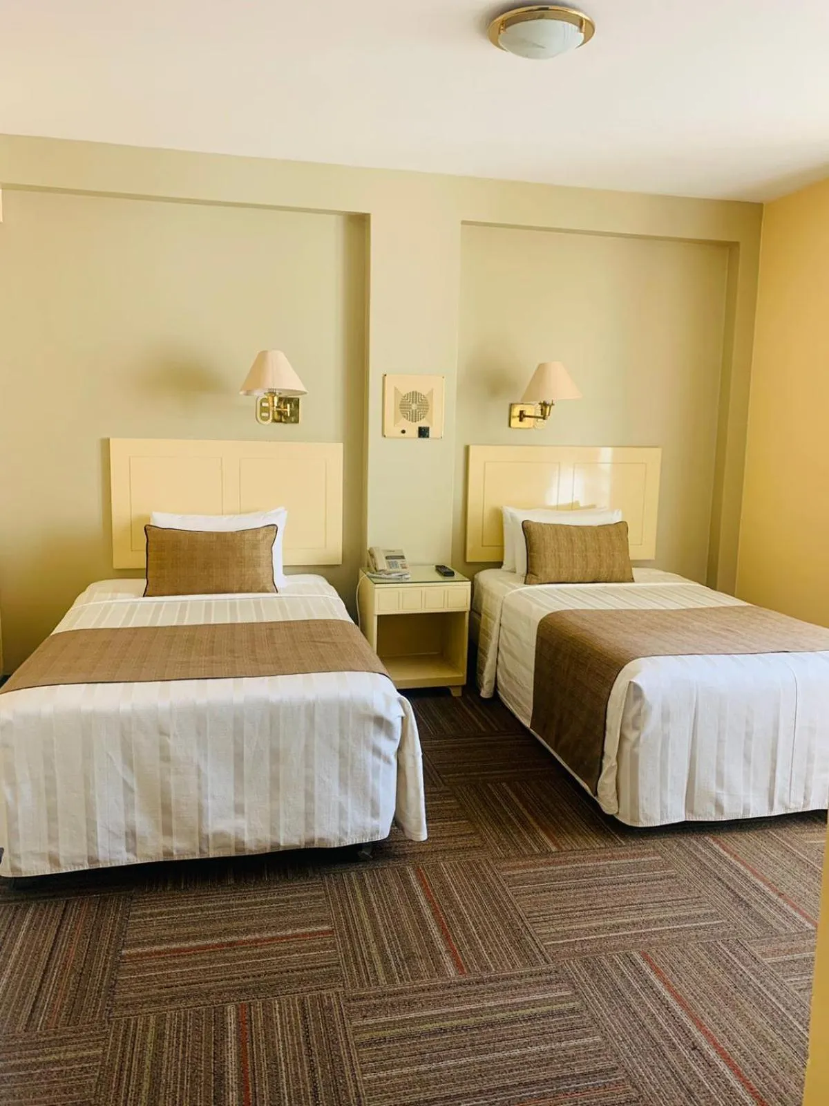 Standard Twin Room in Embajadores Hotel