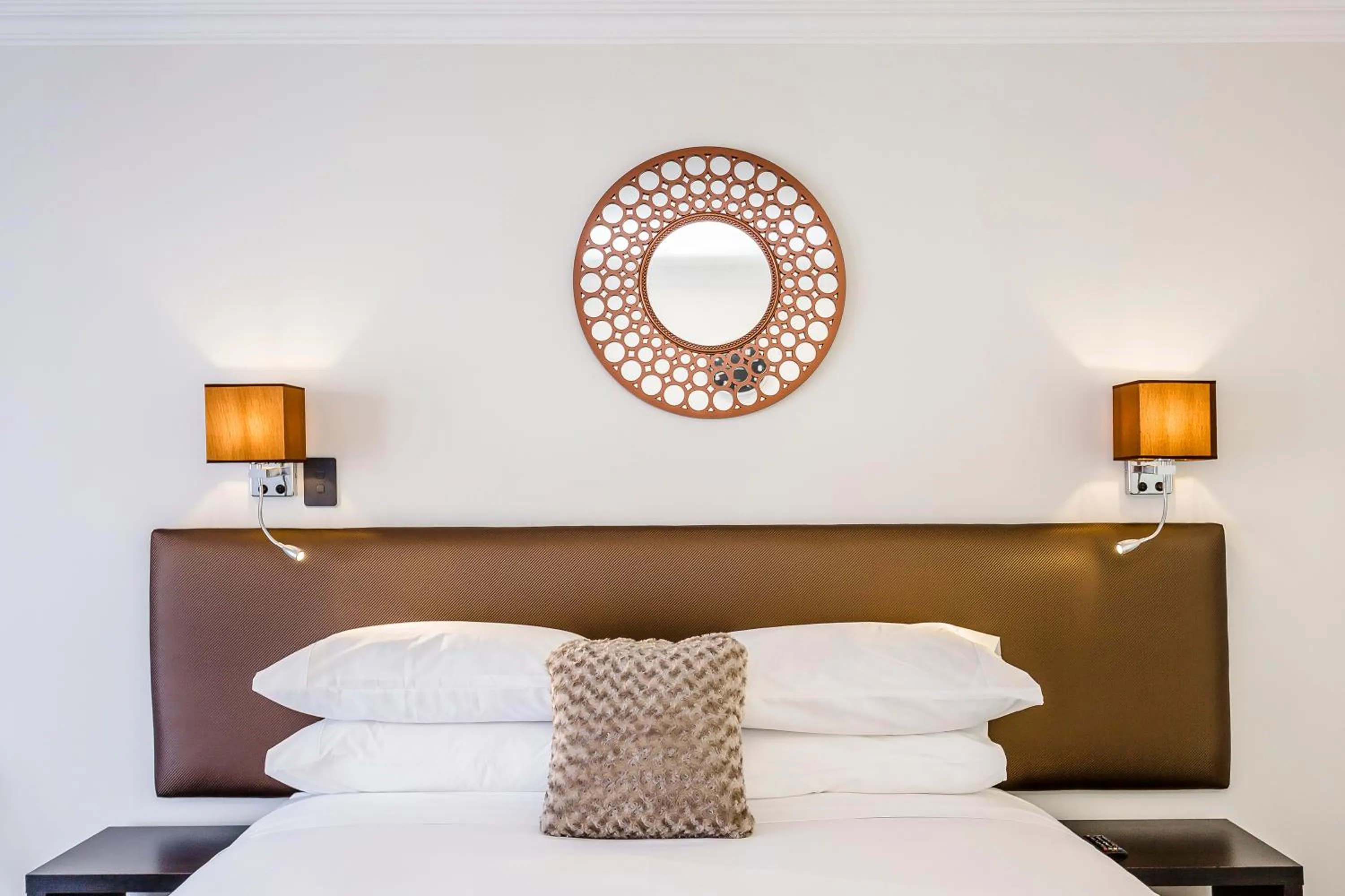 Superior Apartment - Interconnected Studio Apartments Available in Superior Dunedin Apartments