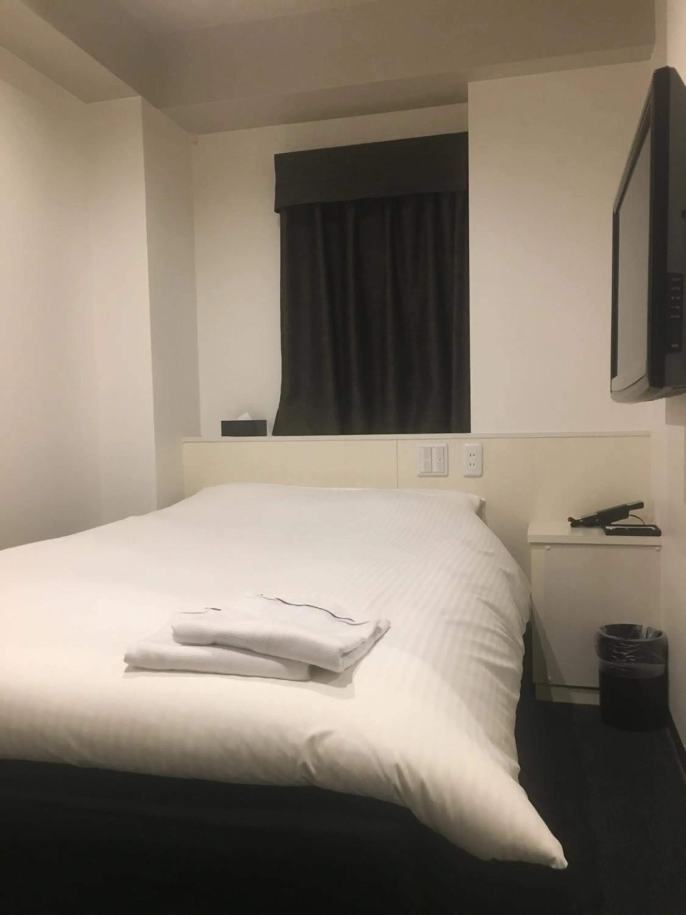 Single Room - Non-Smoking in Nagoyaeki Access Hotel