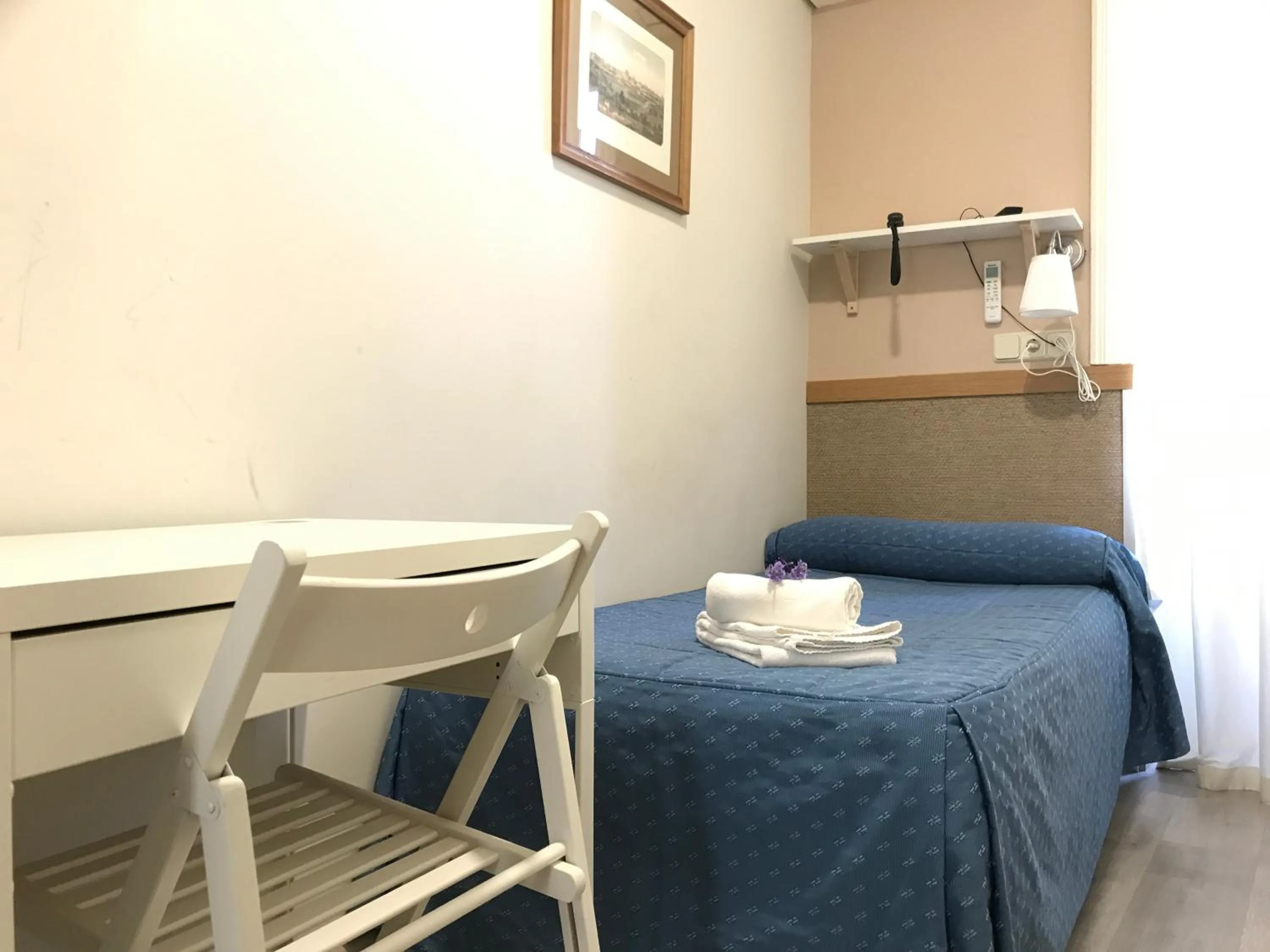 Single Room in Hostal El Pilar