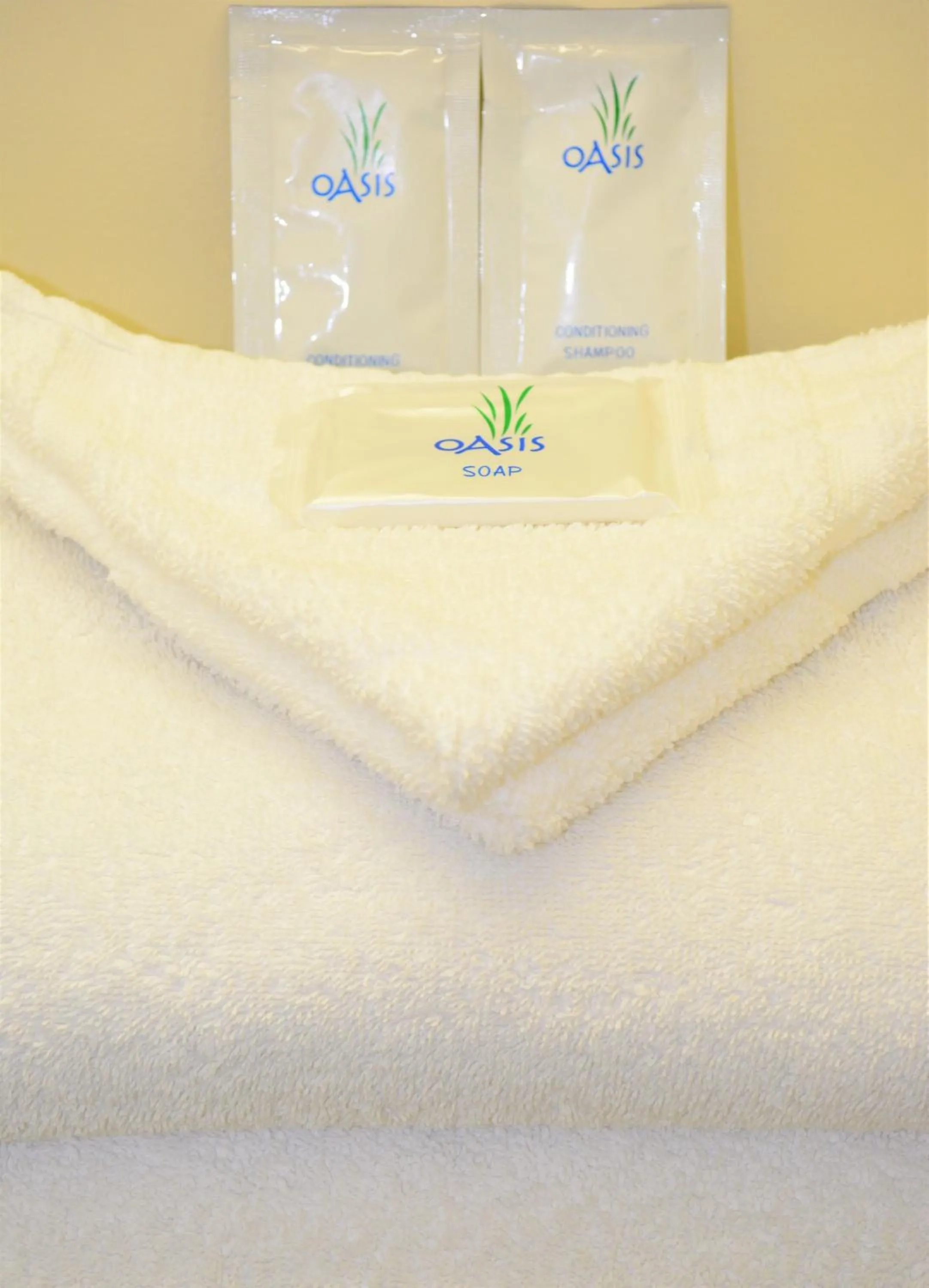 King Room - Non-Smoking in Budget Inn Falls Church