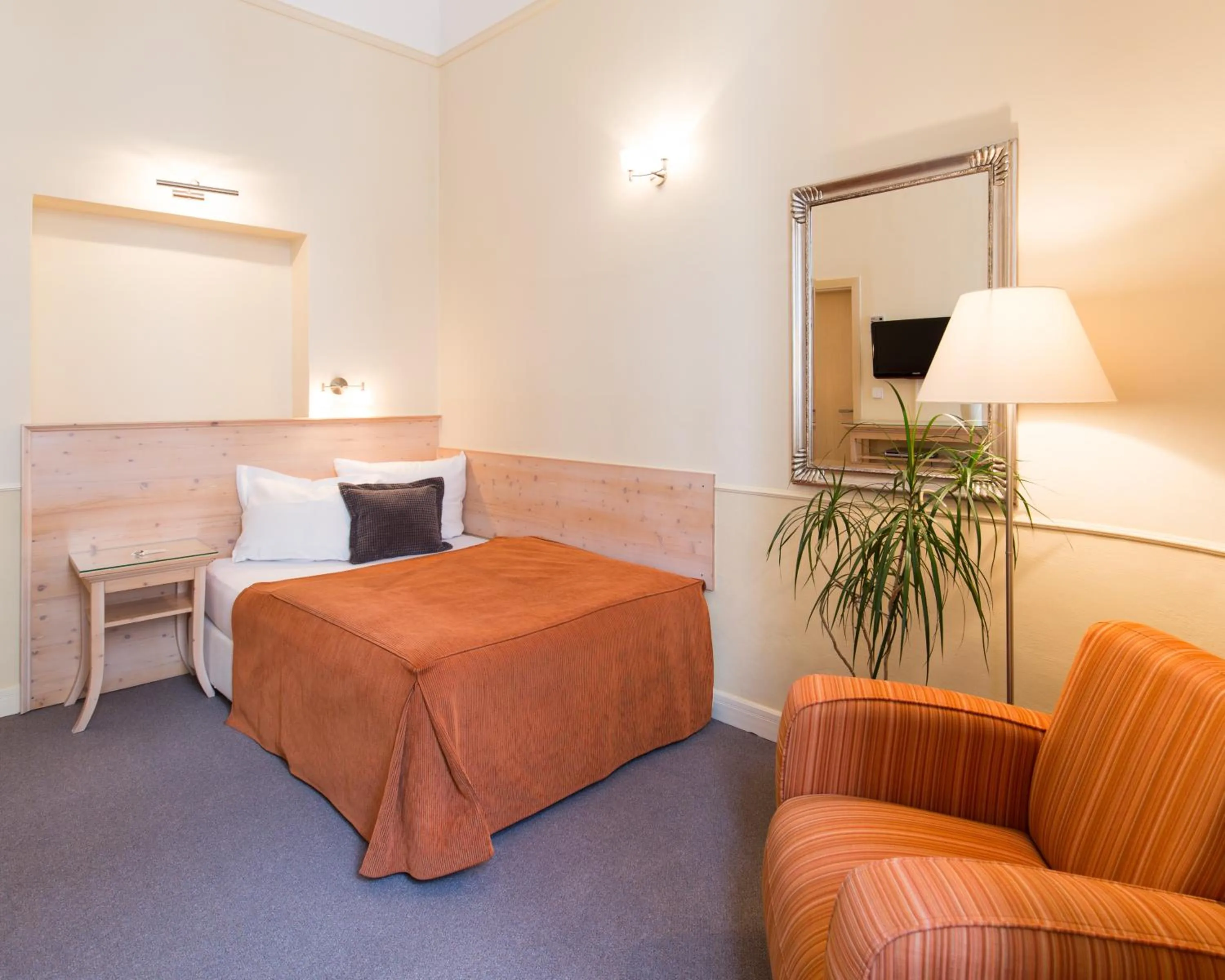 Superior Single Room in Unitas Hotel