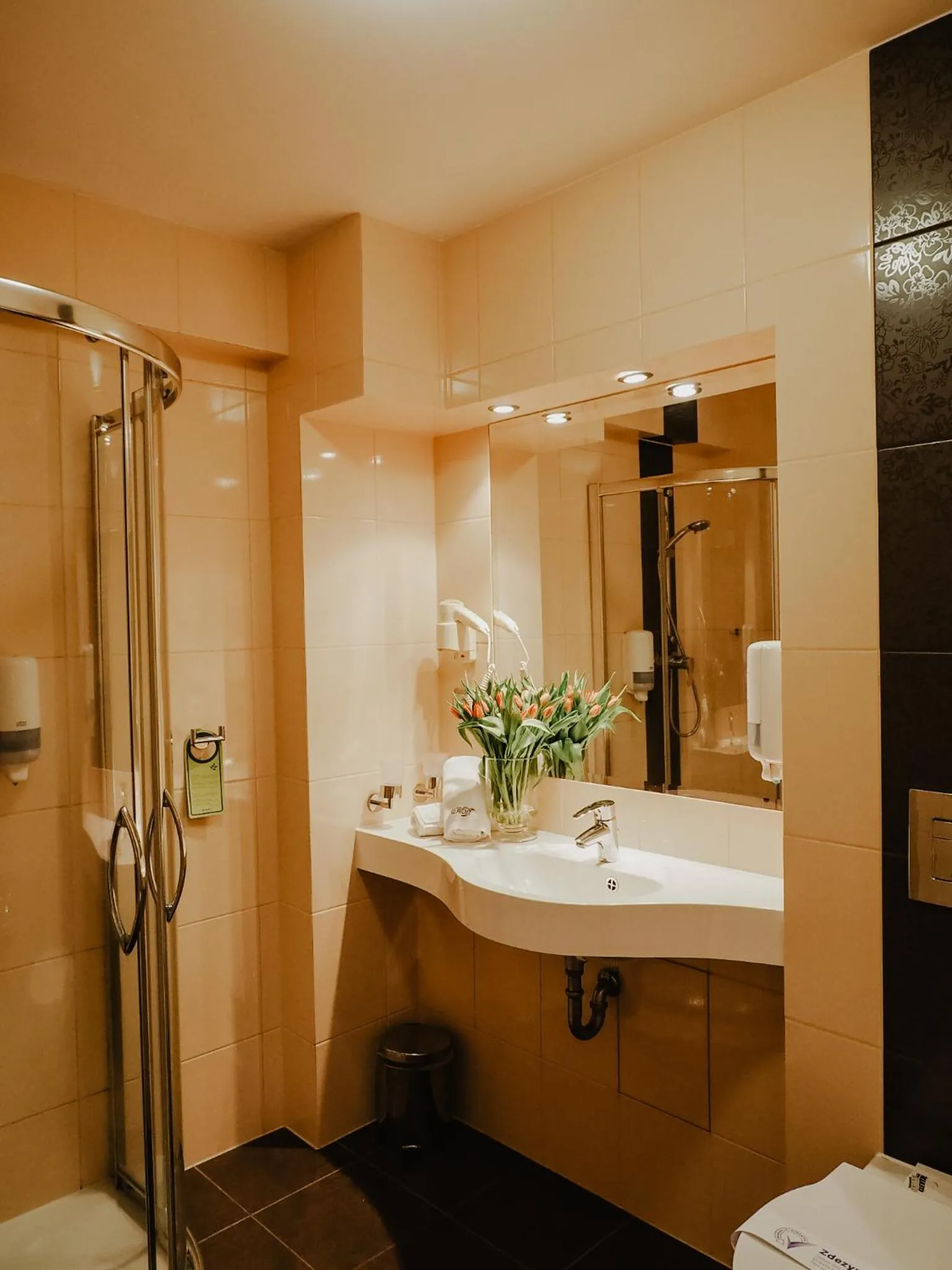 Deluxe Twin Room in Hotel Delfin Spa&Wellness