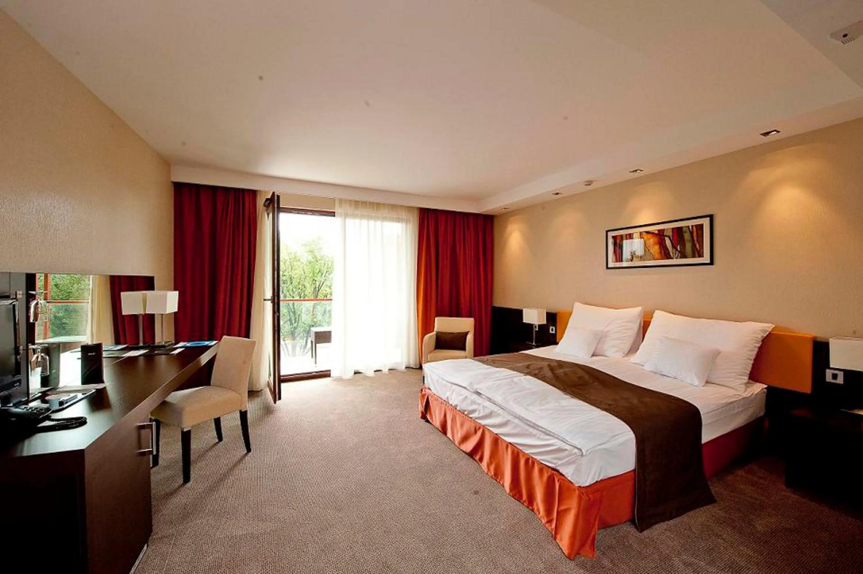 Superior Double or Twin Room - single occupancy in Abacus Business & Wellness Hotel