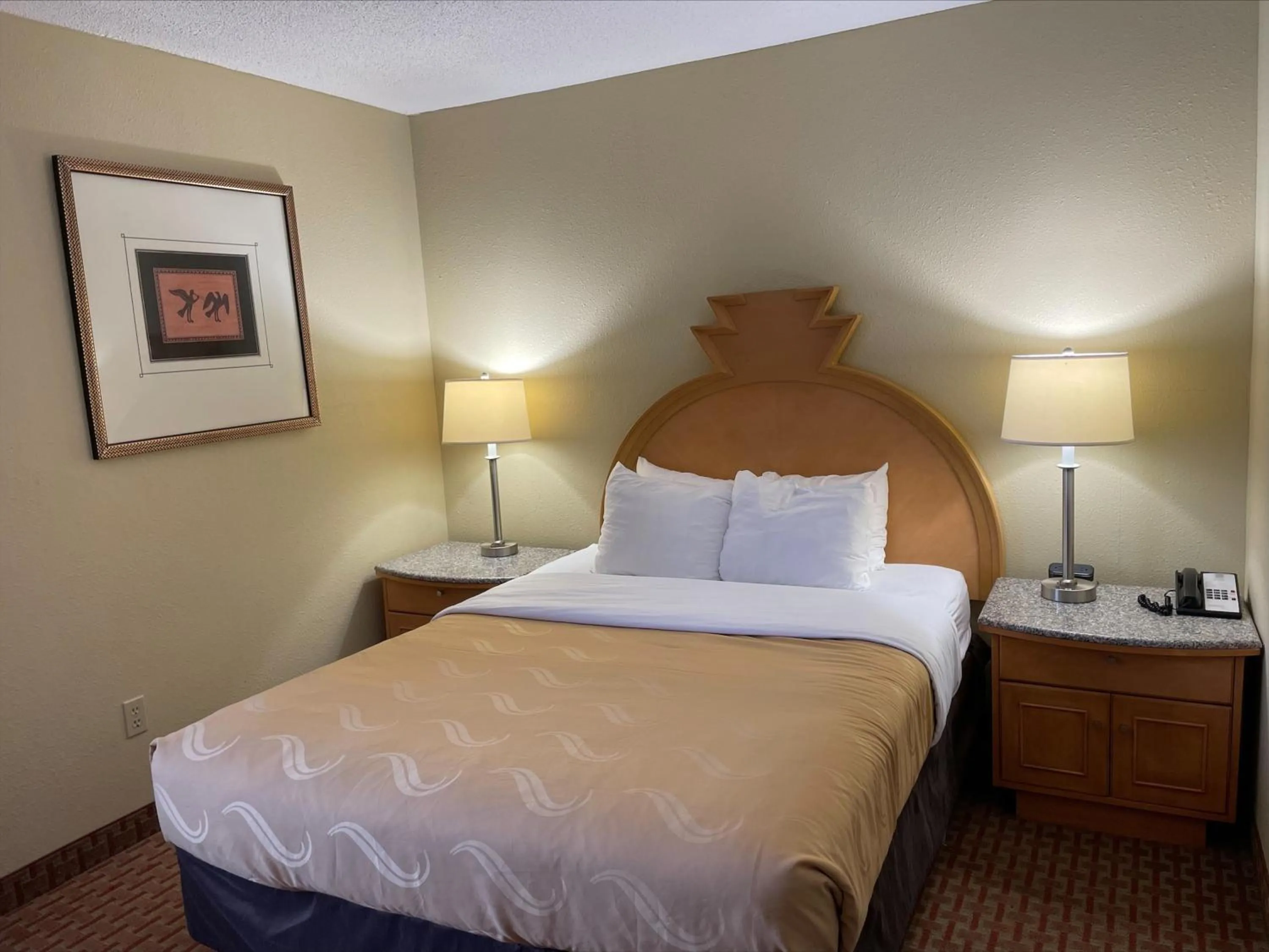 Queen Suite with Sofa Bed - Non-Smoking in Quality Inn & Suites Greenfield I-70