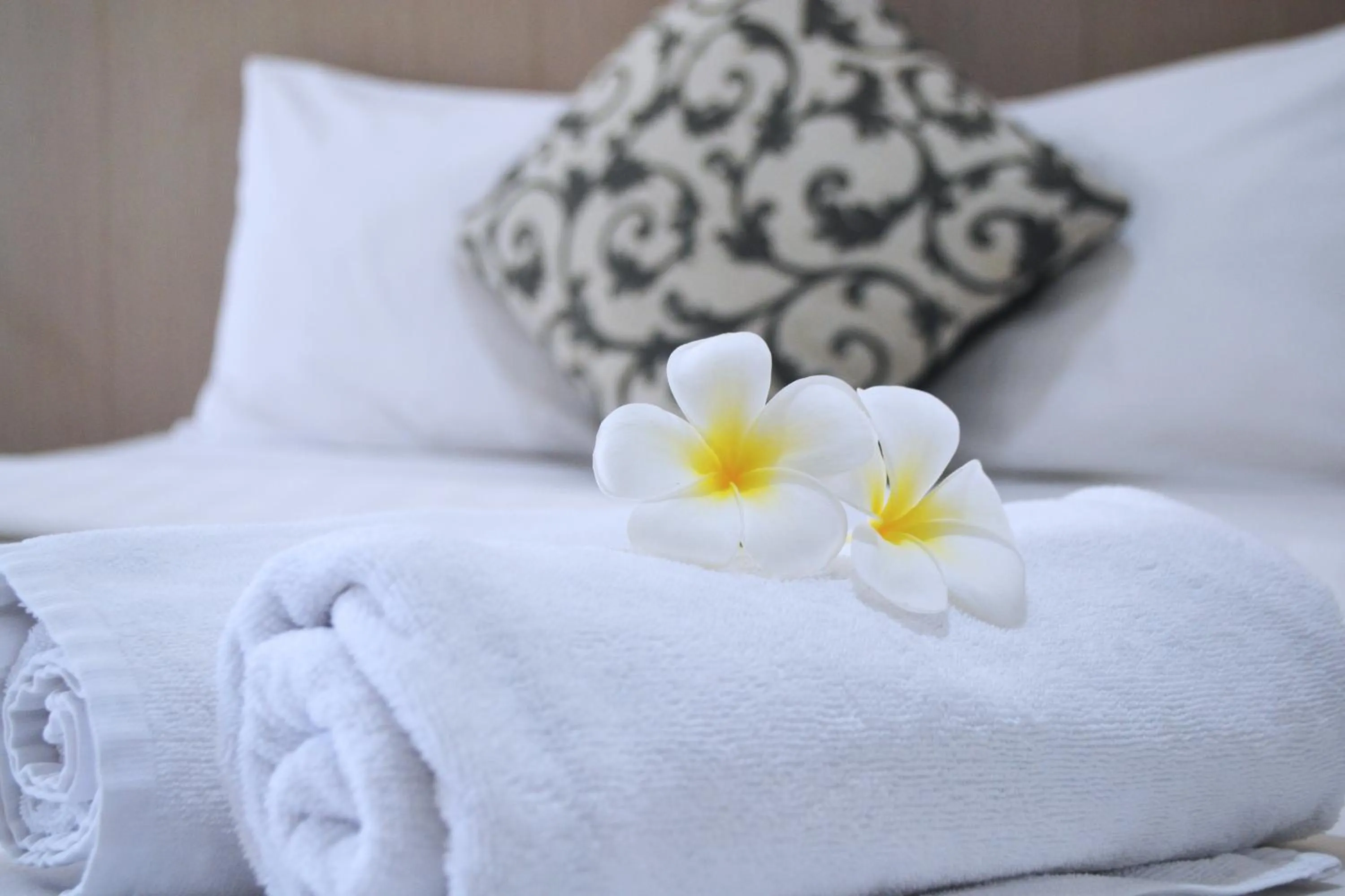 Superior Apartment in Candiland Apartment by Sinergi