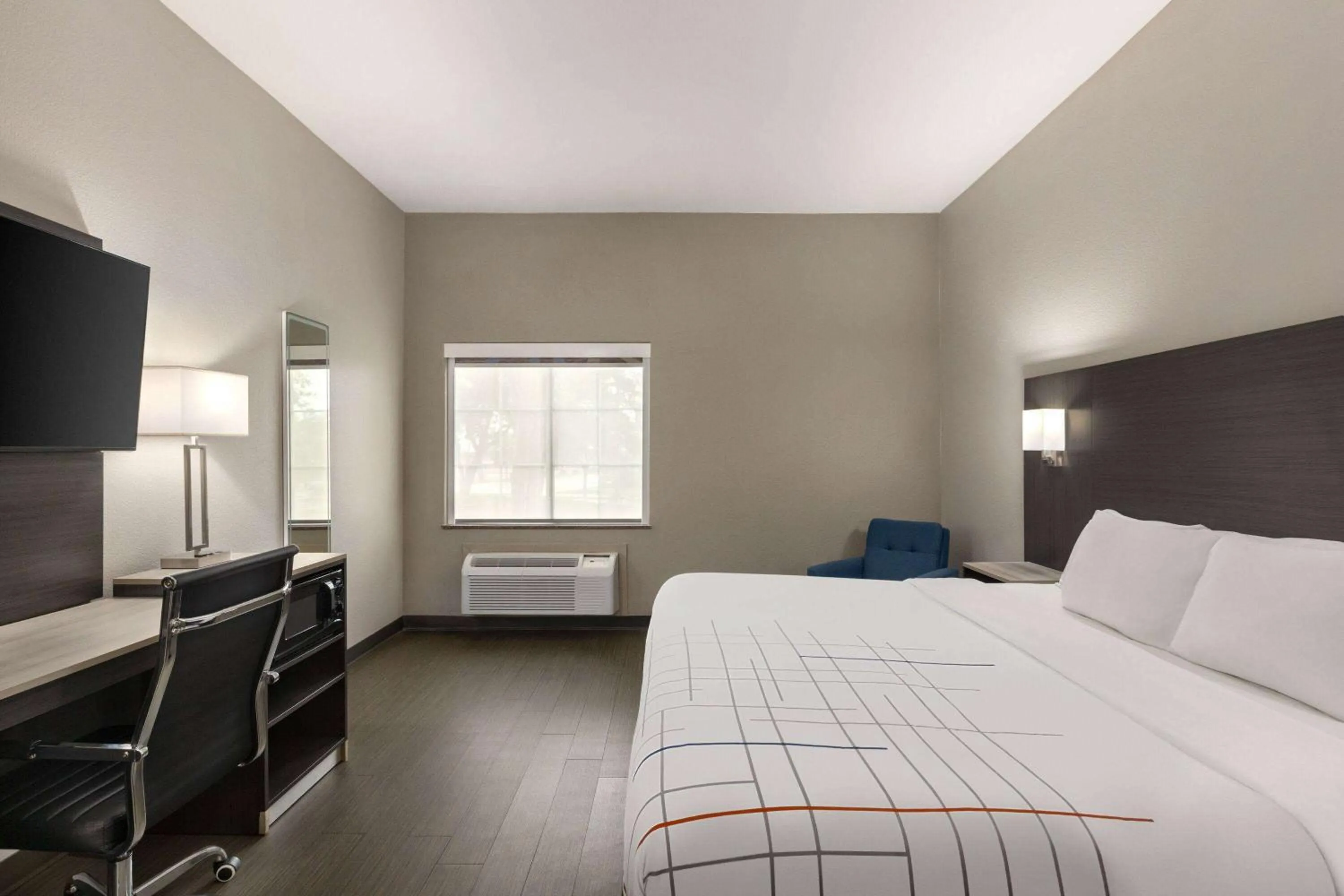 King Room with Roll-In Shower - Mobility Access/Non-Smoking in La Quinta by Wyndham San Antonio North Stone Oak