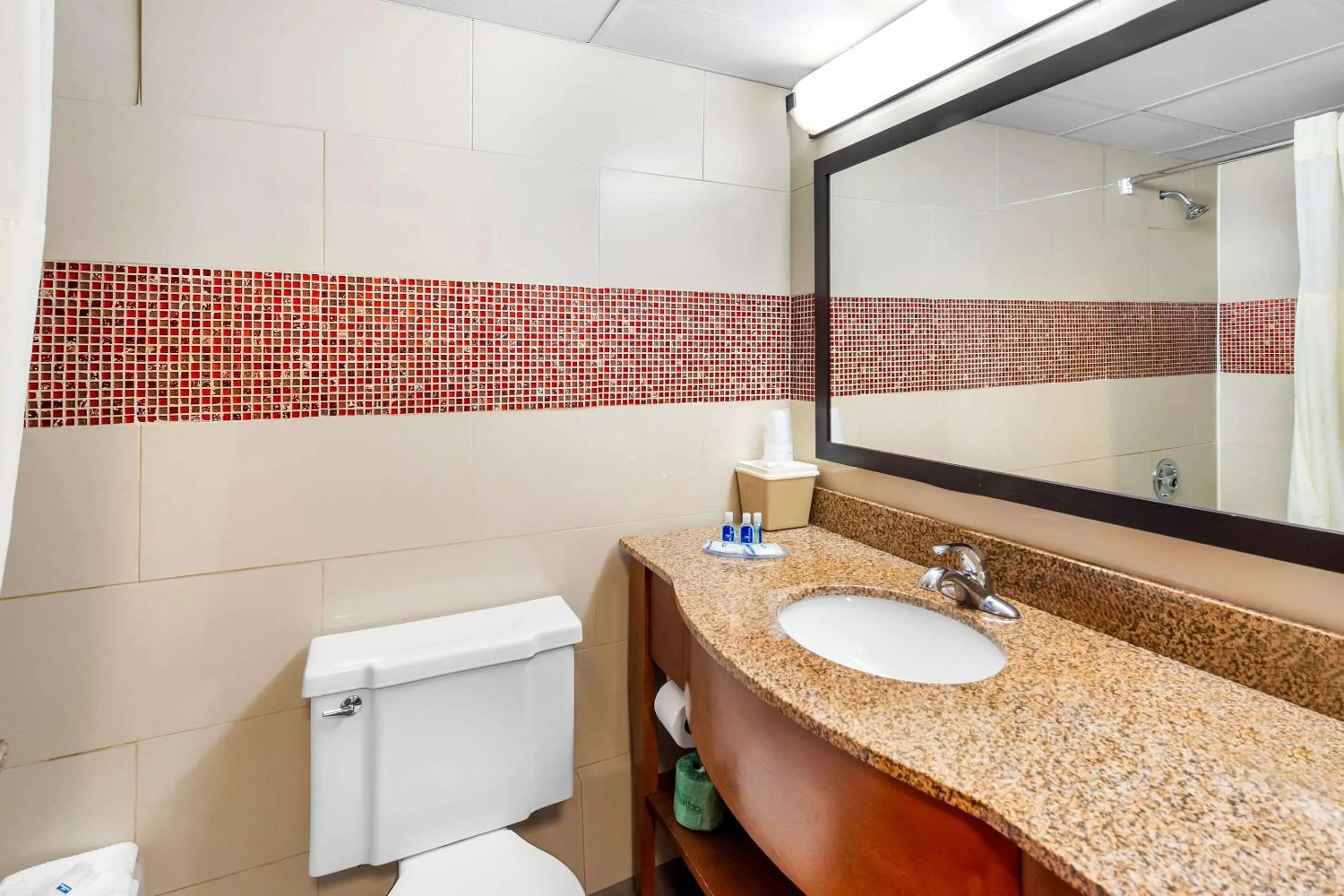 King Room - Smoking  in Rodeway Inn Capri