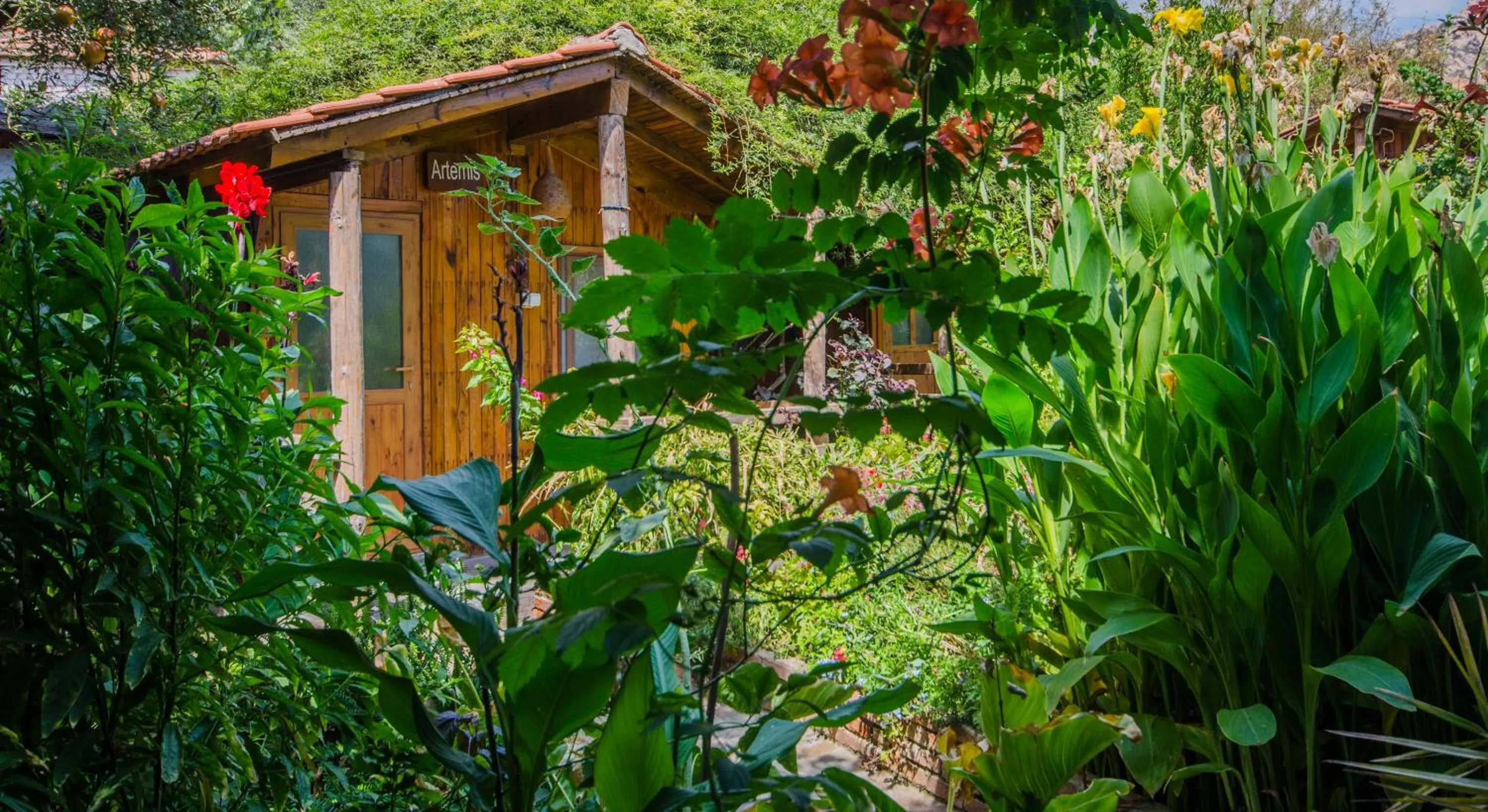 Budget Twin Room in Agora Pansiyon