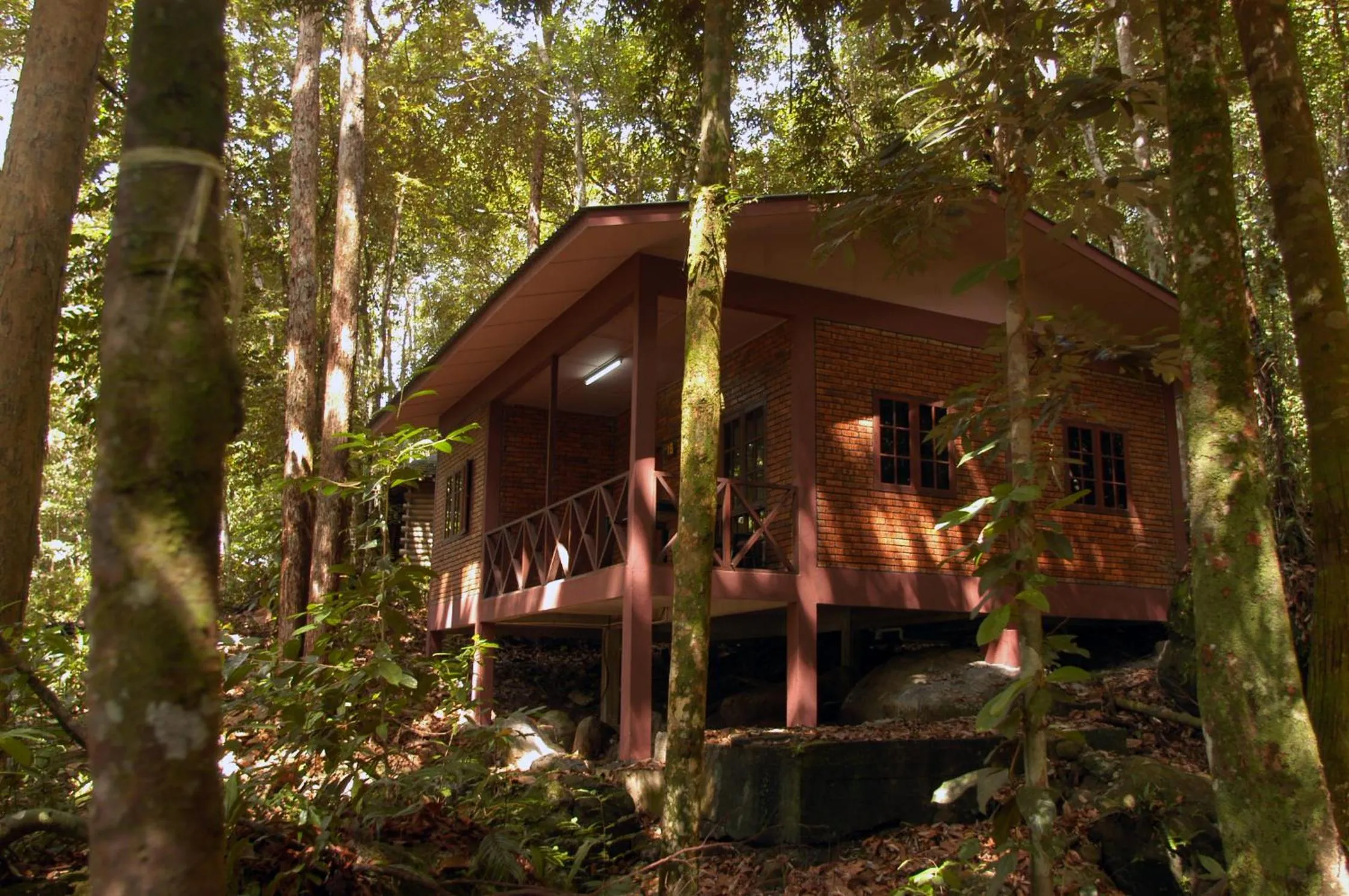 Villa for 6  in Permai Rainforest Resort