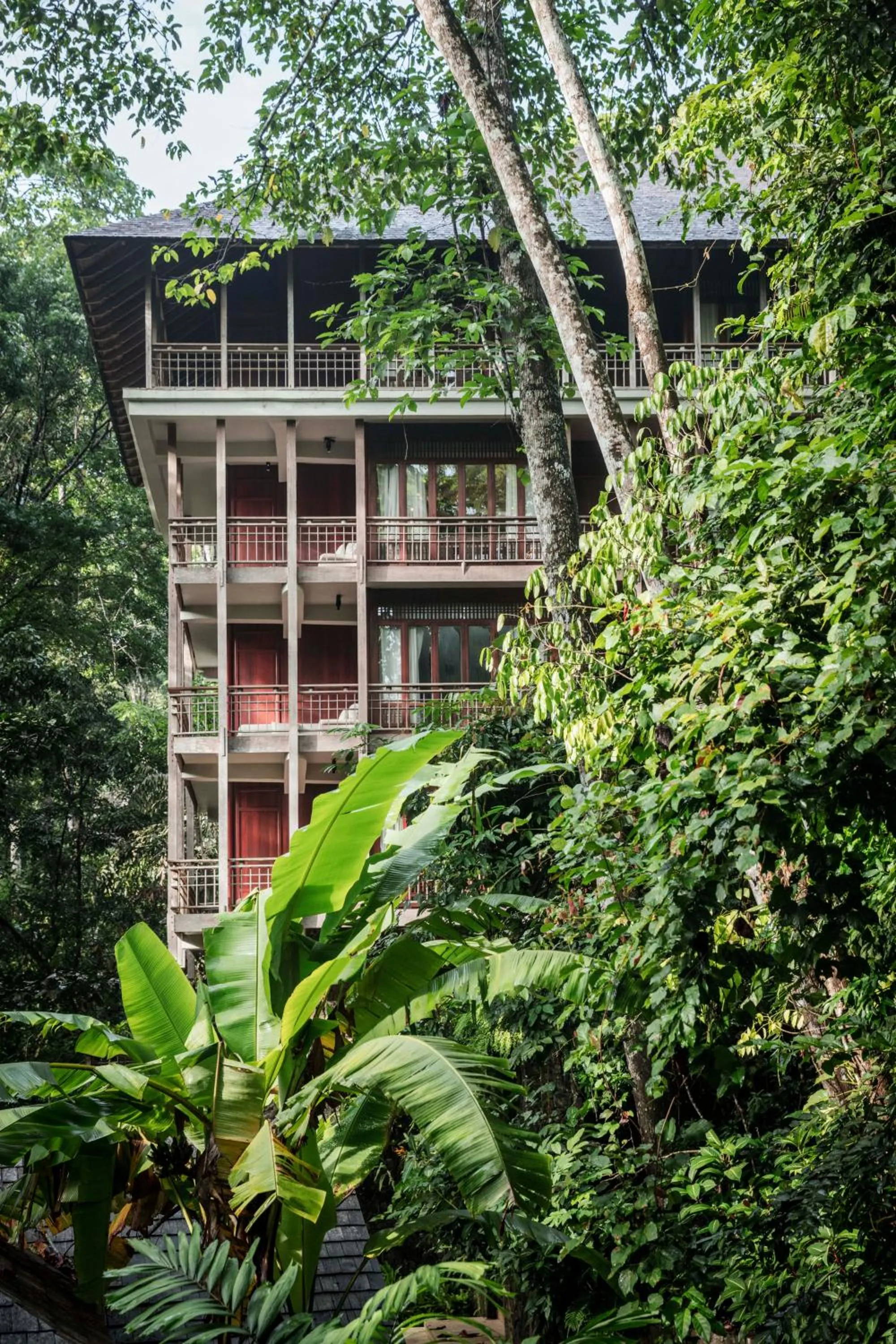 Canopy Suite in The Datai Langkawi