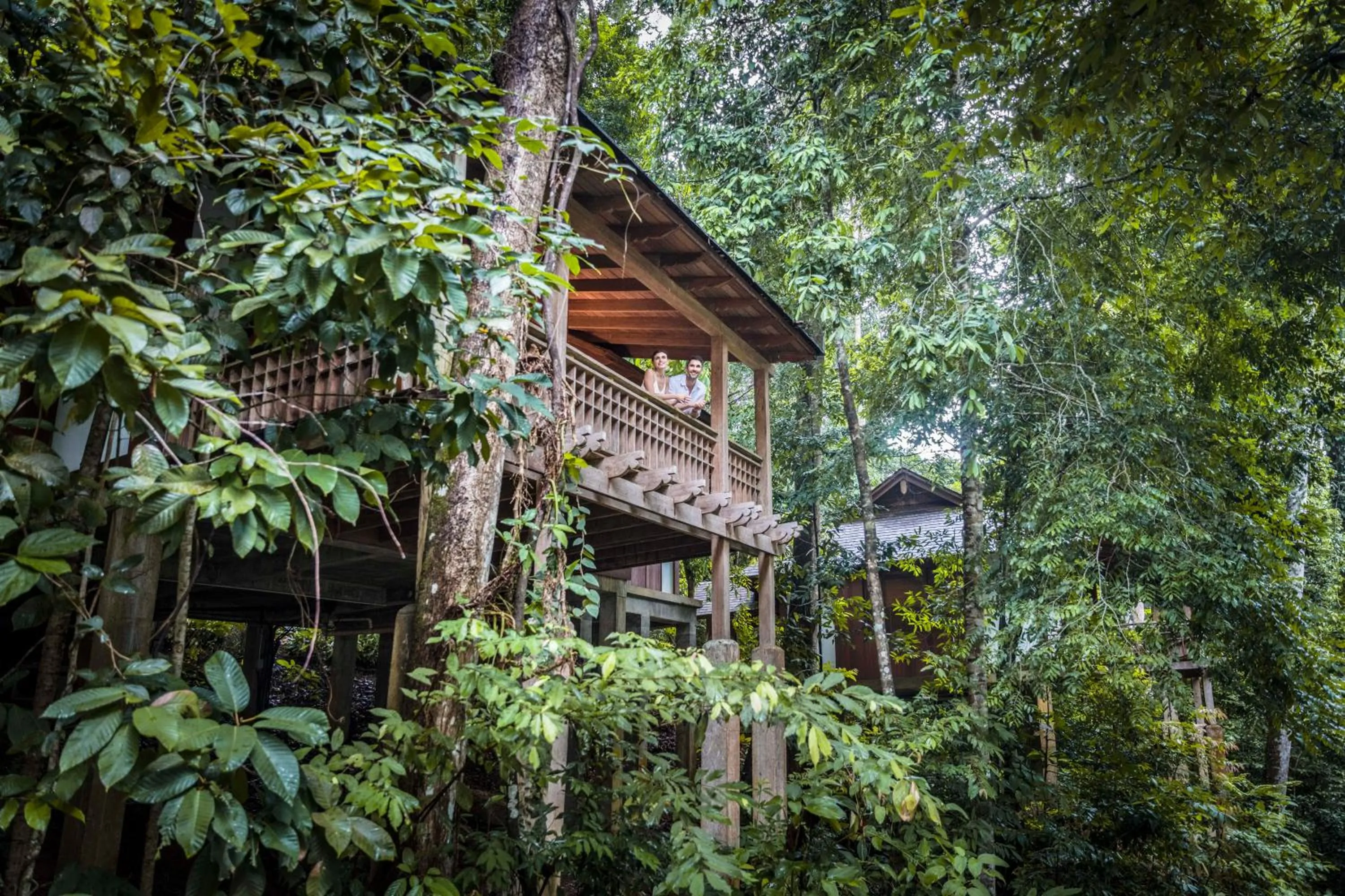 Rainforest Villa King or Twin in The Datai Langkawi