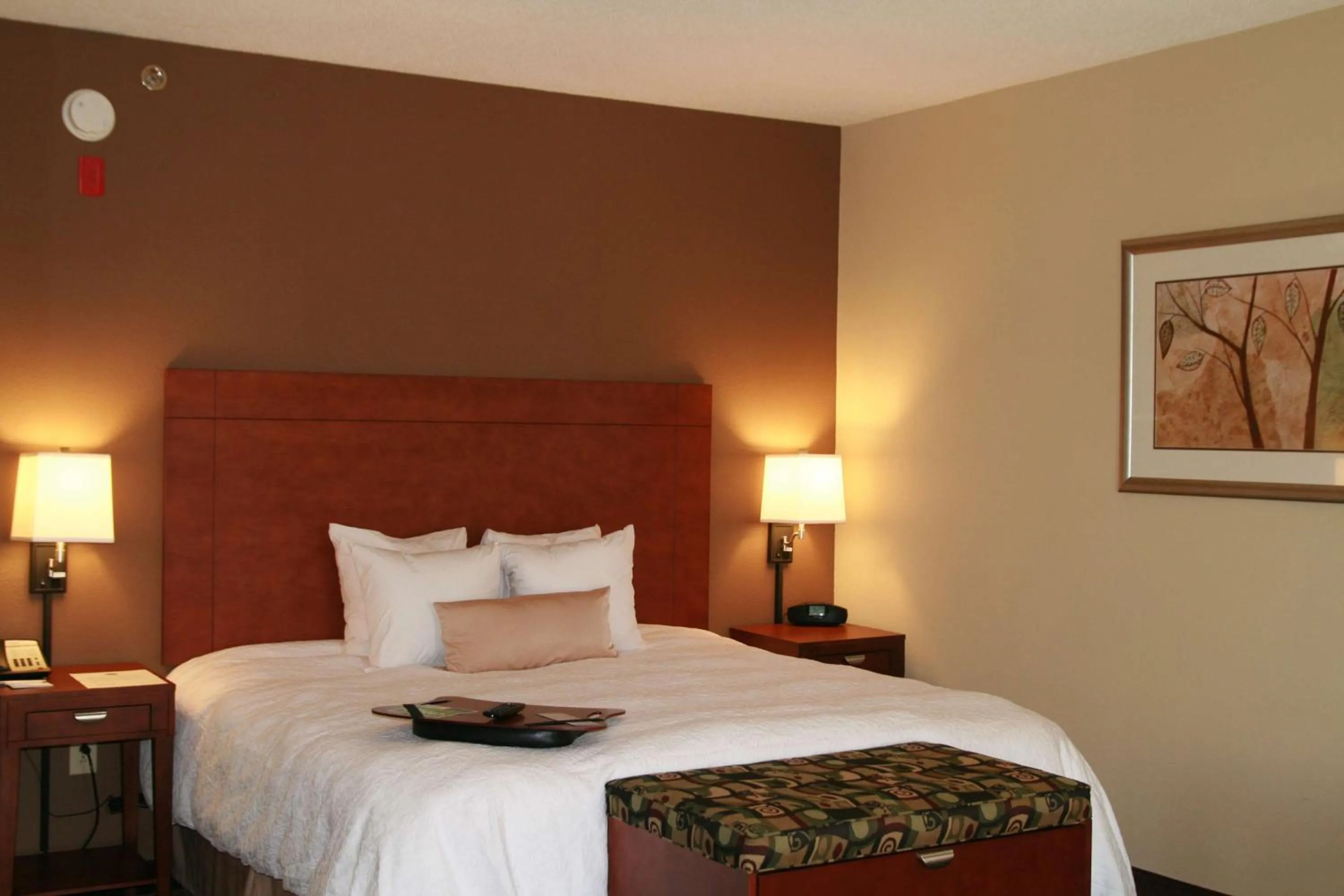 King Room with King Bed - Non-Smoking in Hampton Inn Yazoo City