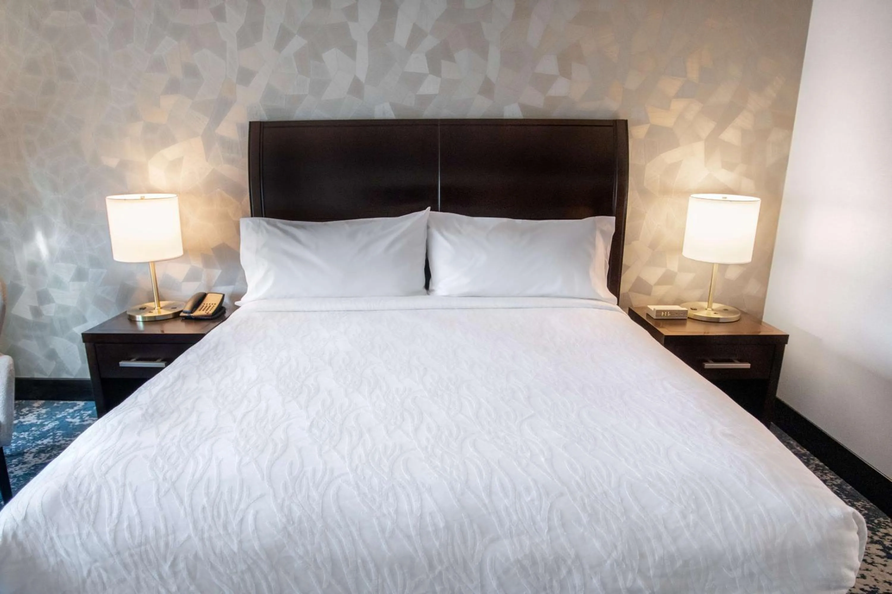 King Room - Disability Access in Hilton Garden Inn Bethesda Downtown