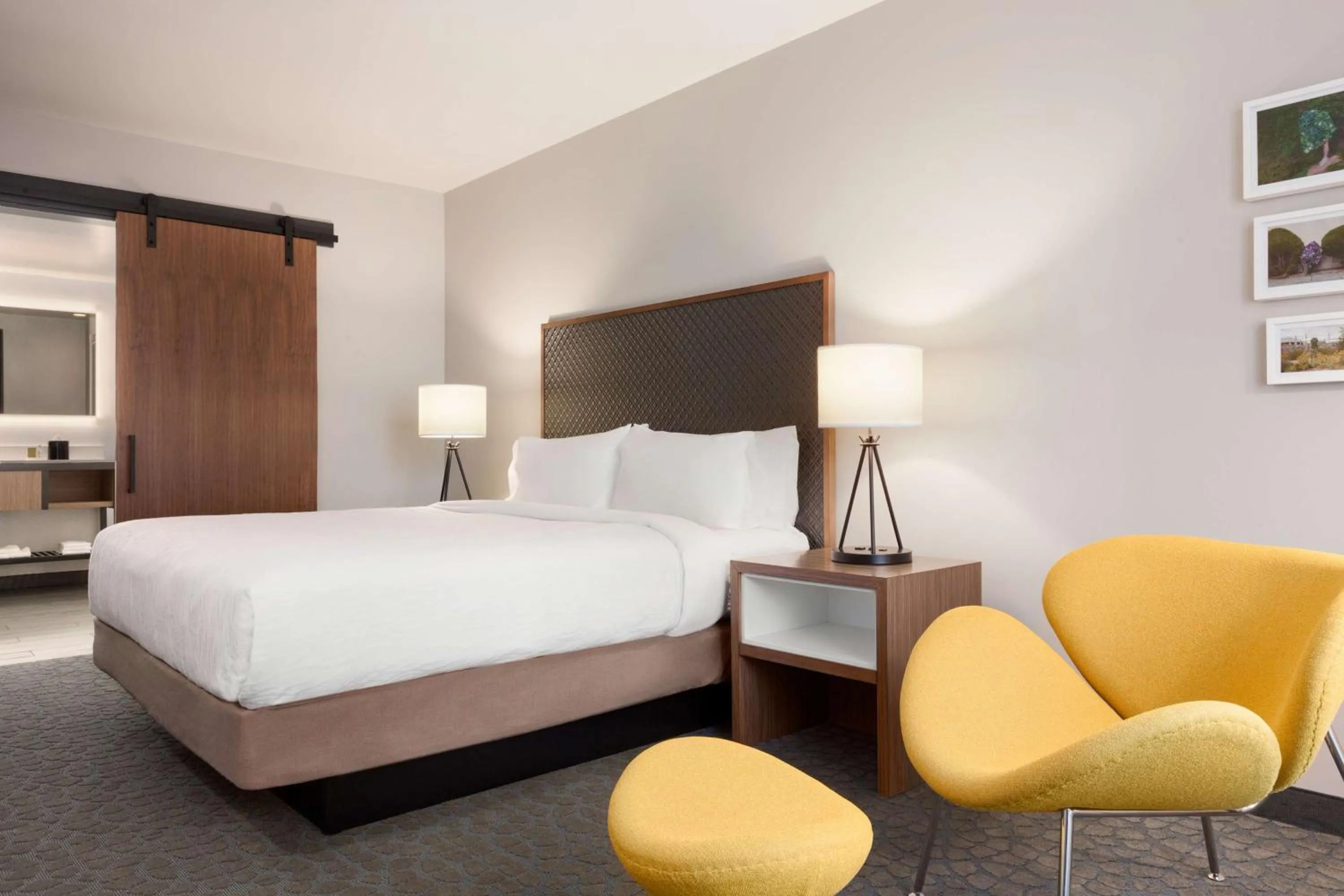 Junior King Suite with Sofa Bed in Hilton Garden Inn Boulder