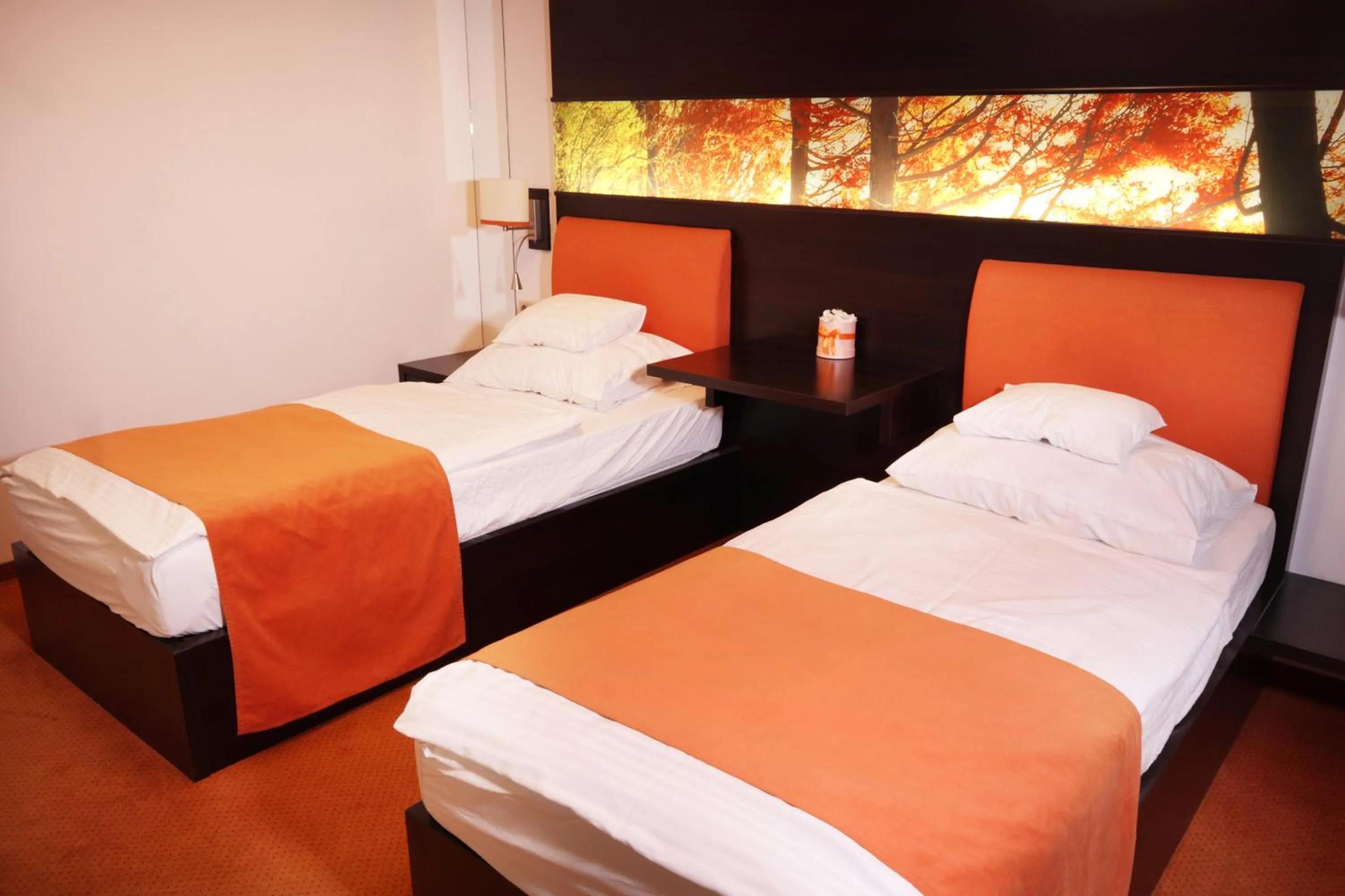 Standard Twin Room - single occupancy in Corso Boutique Hotel