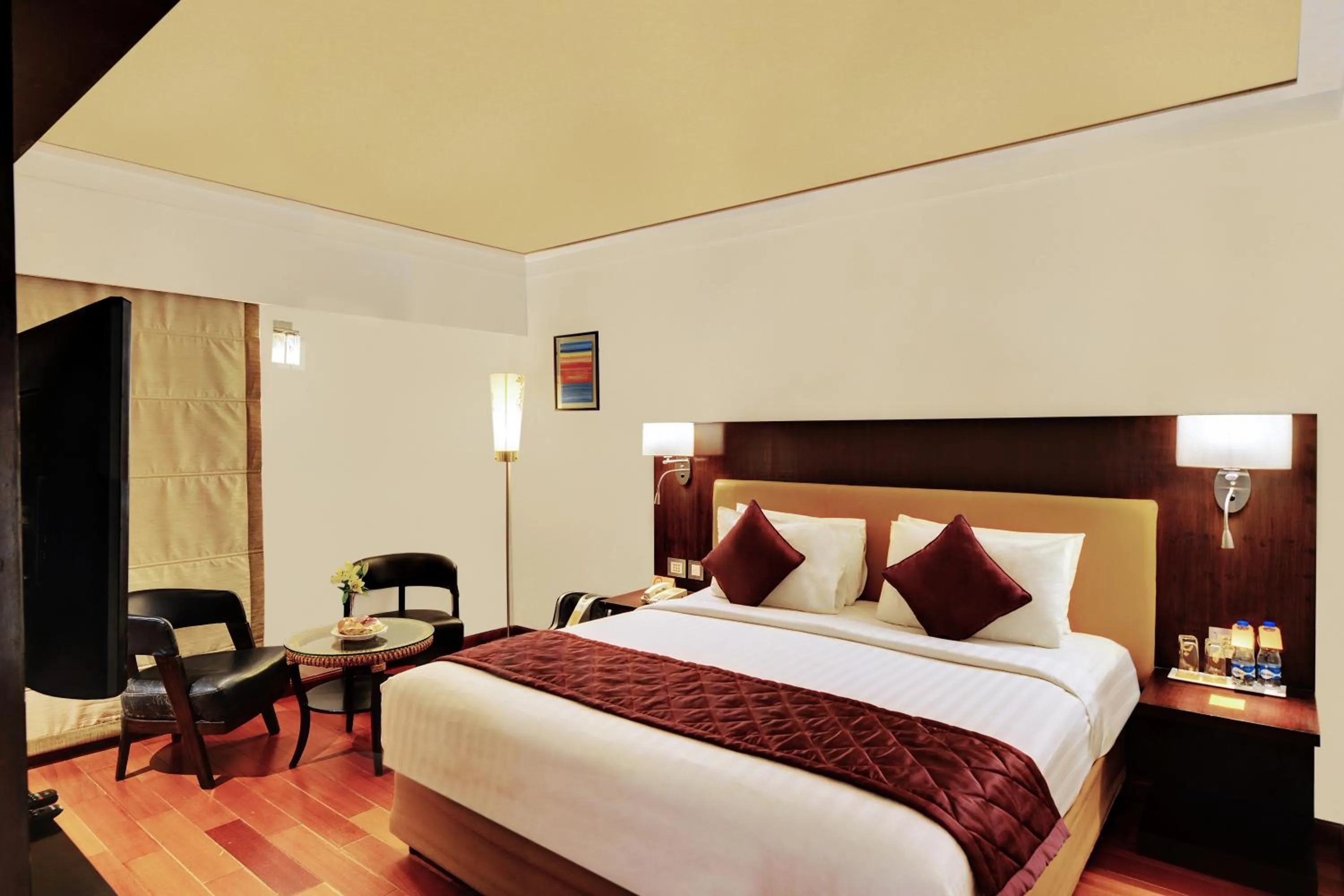 Club Iris Room - single occupancy in Iris The Business Hotel