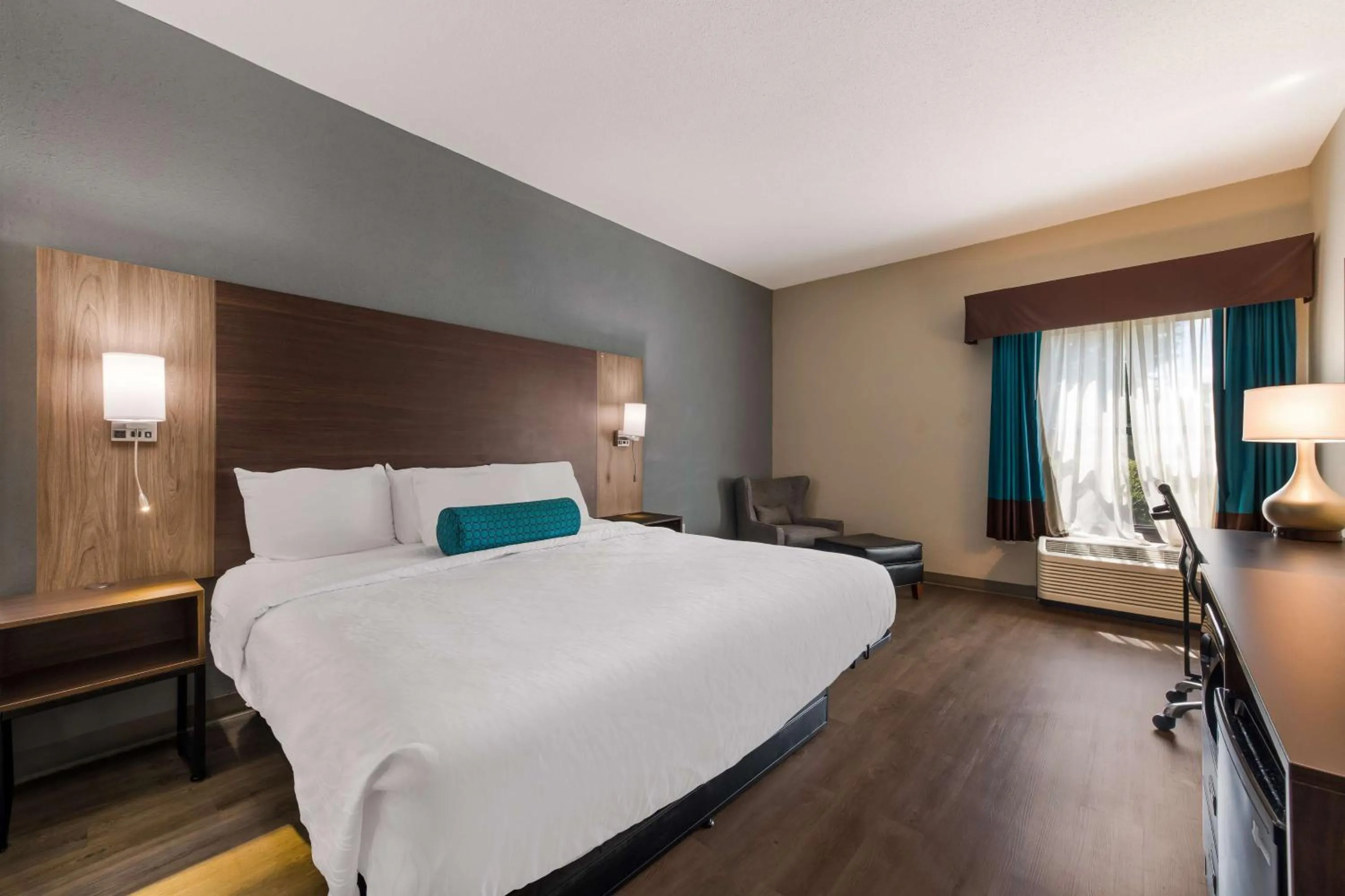 King Room with Bath Tub - Disability Access/Non-Smoking  in Best Western Albemarle Inn