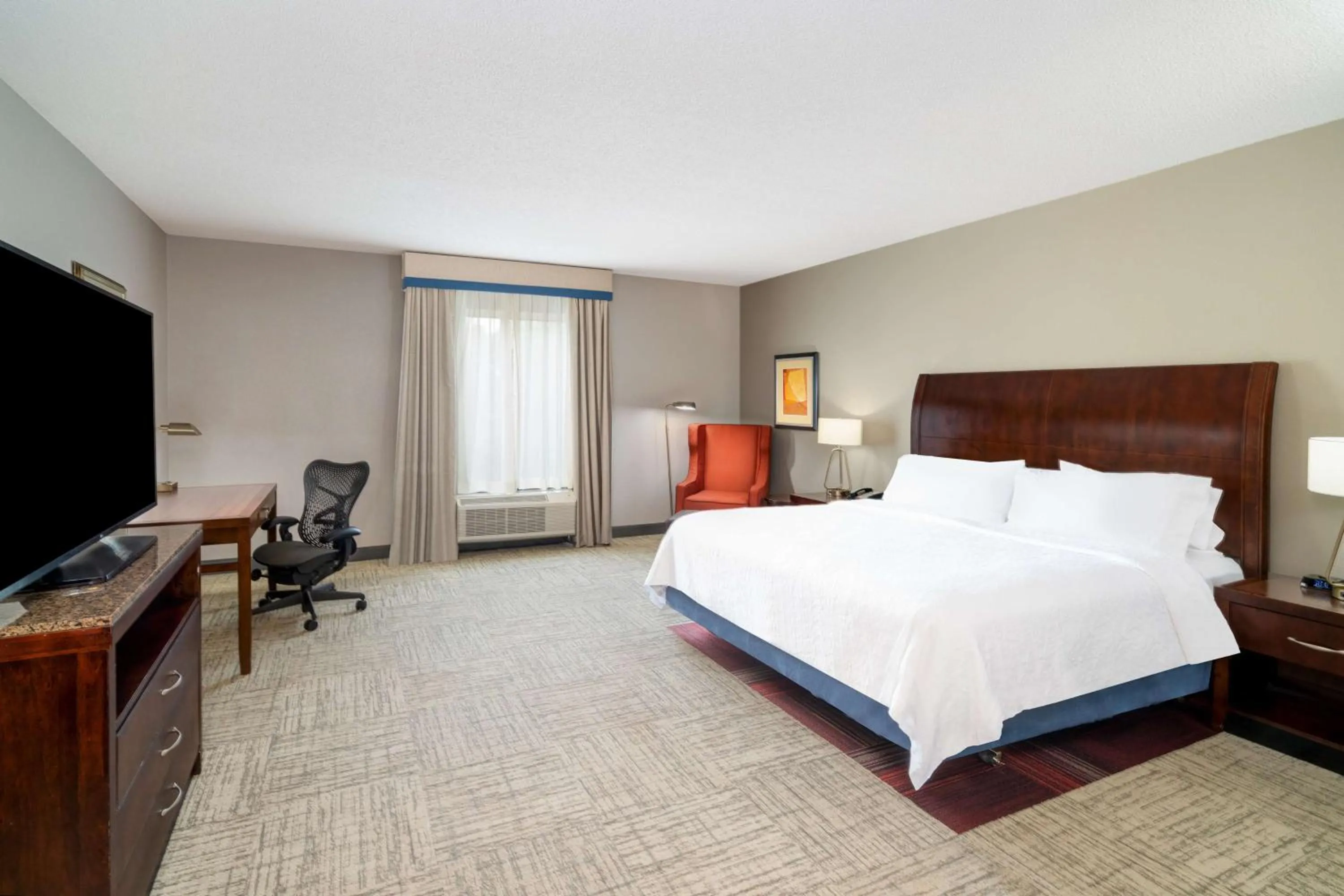 King Room with Tub - Mobility and Hearing Access in Hilton Garden Inn Augusta