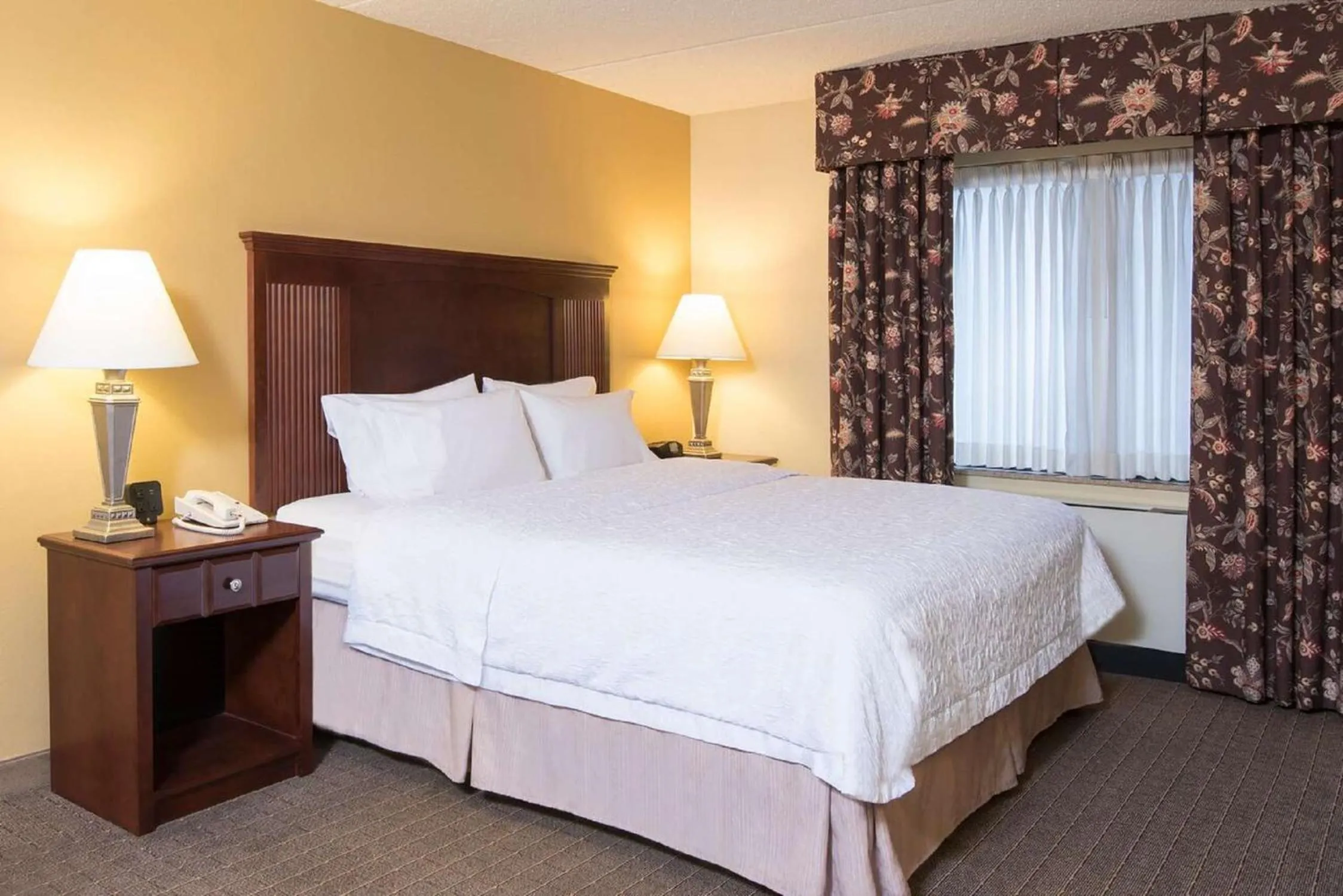King Room with Roll-In Shower - Mobility Access/Non-Smoking in Hampton Inn Schenectady Downtown