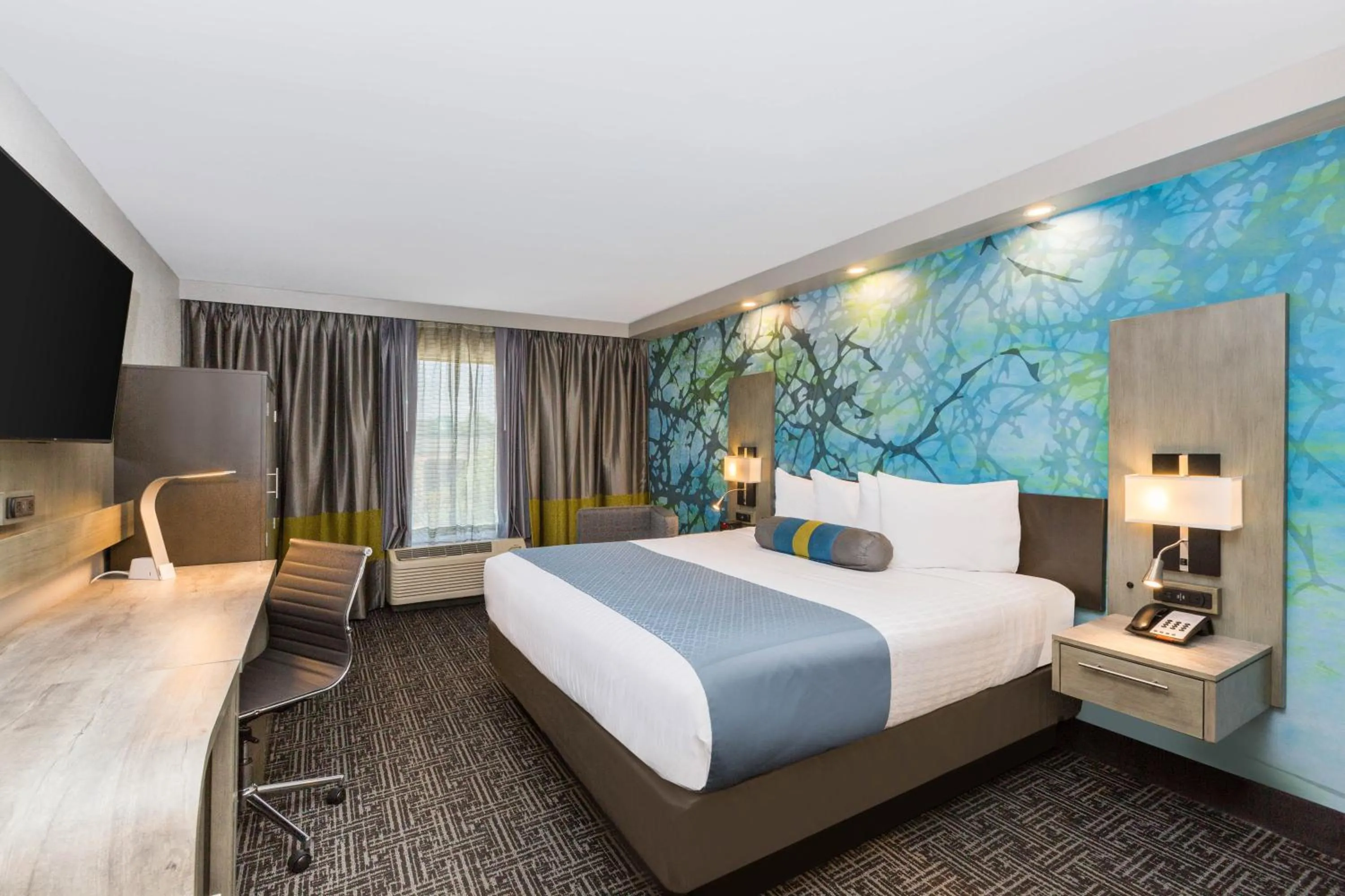 King Room - Mobility Access/Non-Smoking in Wingate by Wyndham Goodlettsville