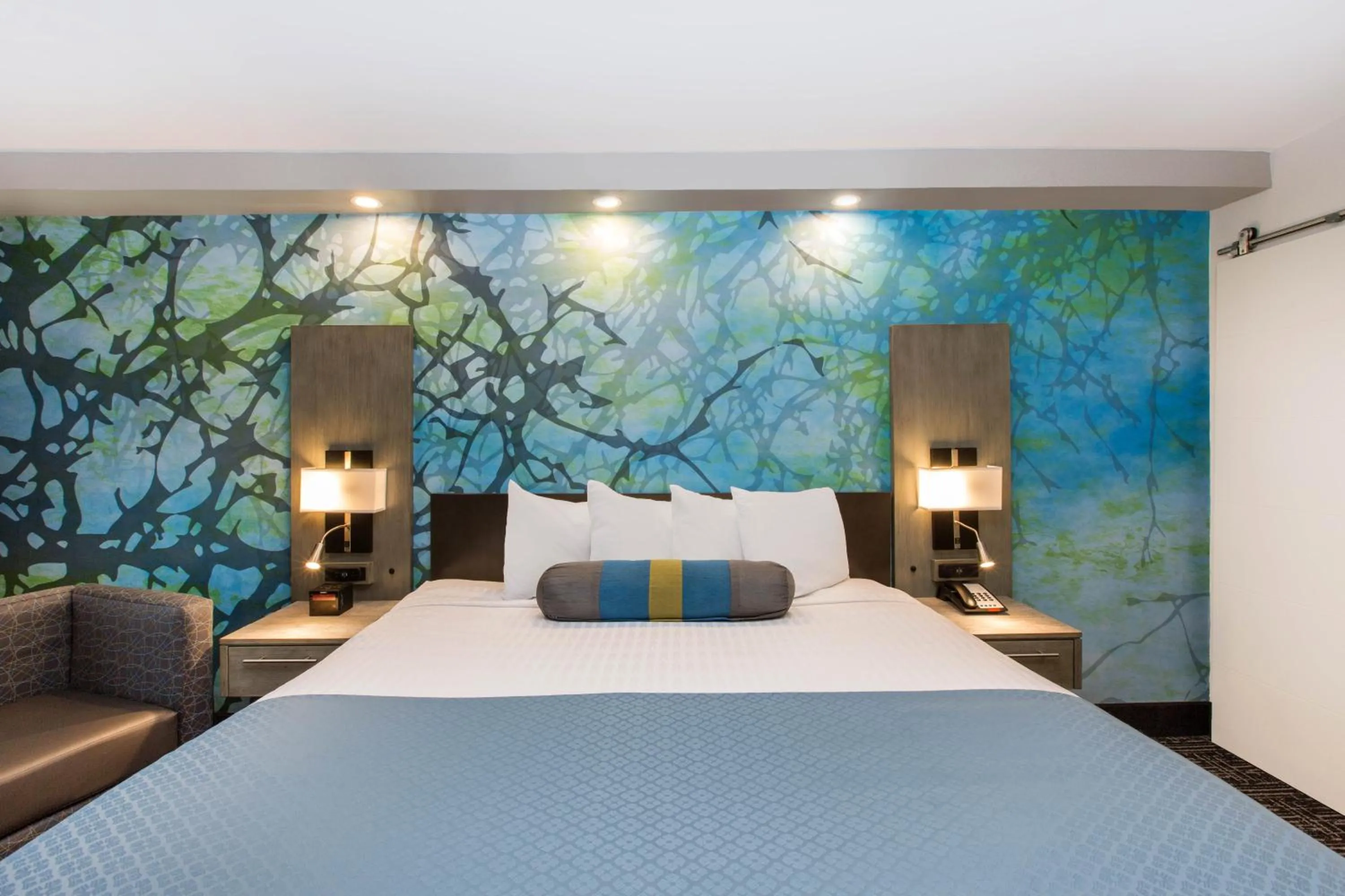 Queen Room - Mobility Access/Non-Smoking in Wingate by Wyndham Goodlettsville