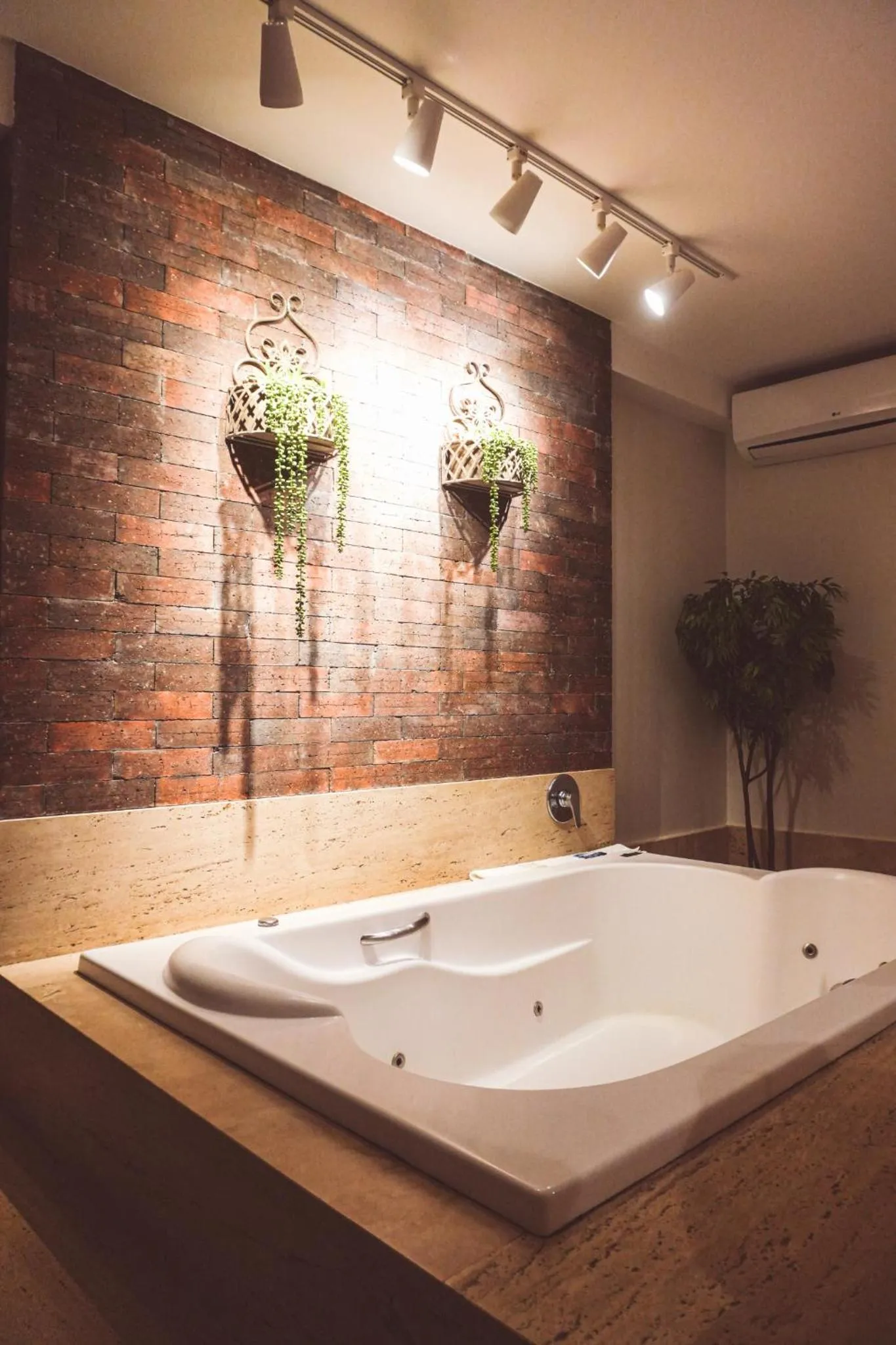 Double Room with Spa Bath in Go Inn Catalão