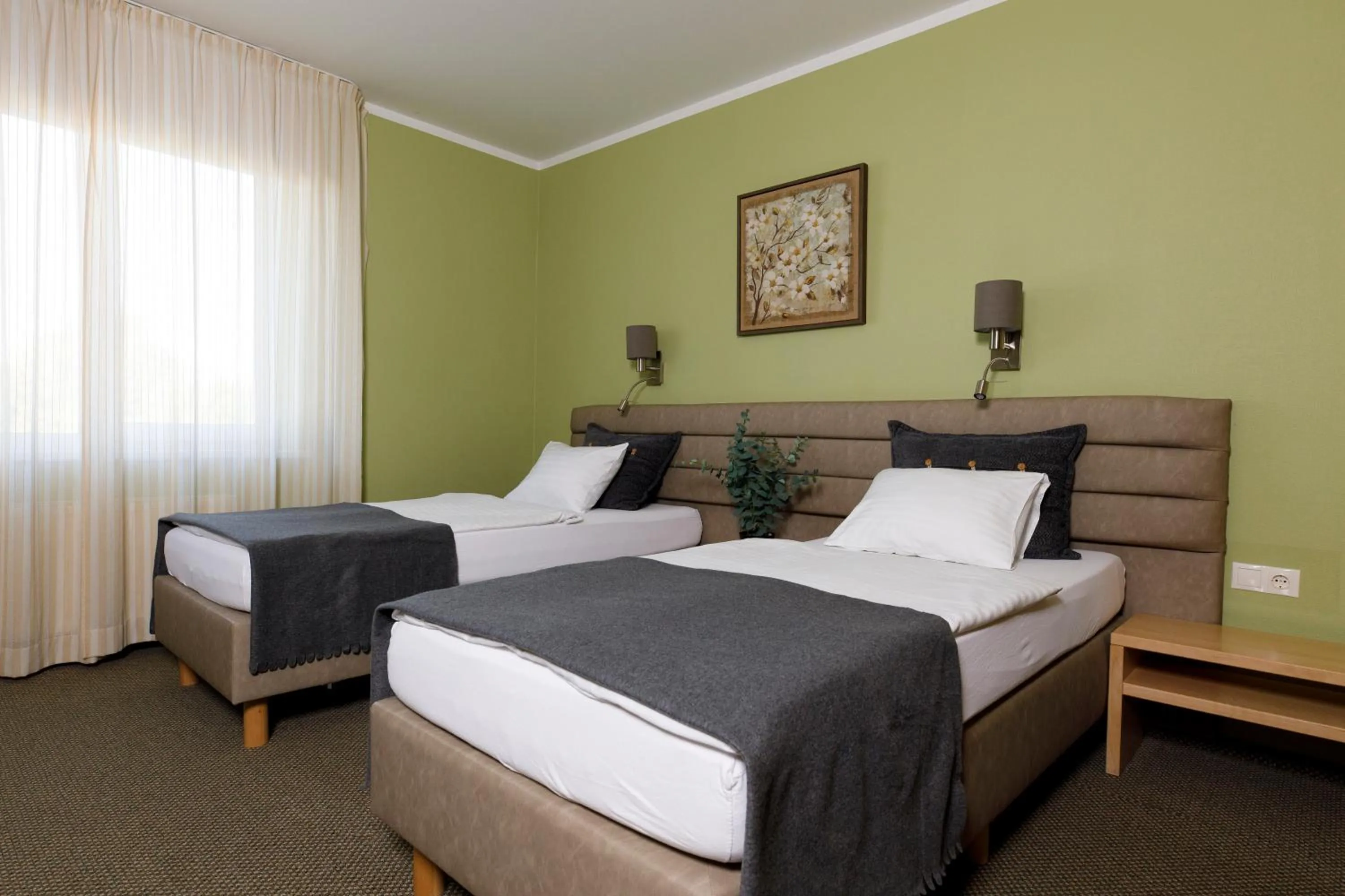Standard Twin Room in Spa Hotel Ezeri