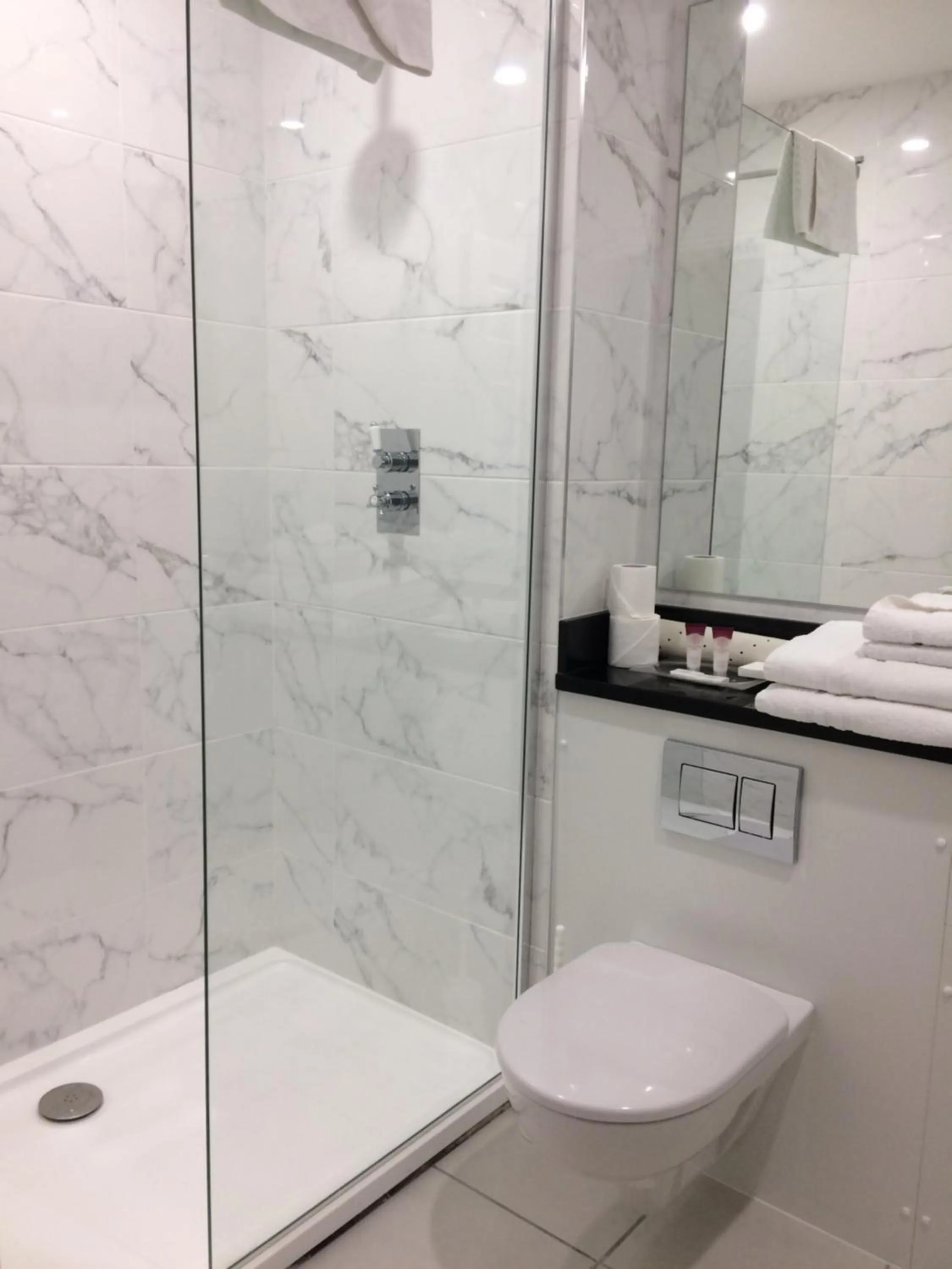 Twin Room with Bathroom in Falls Hotel & Spa