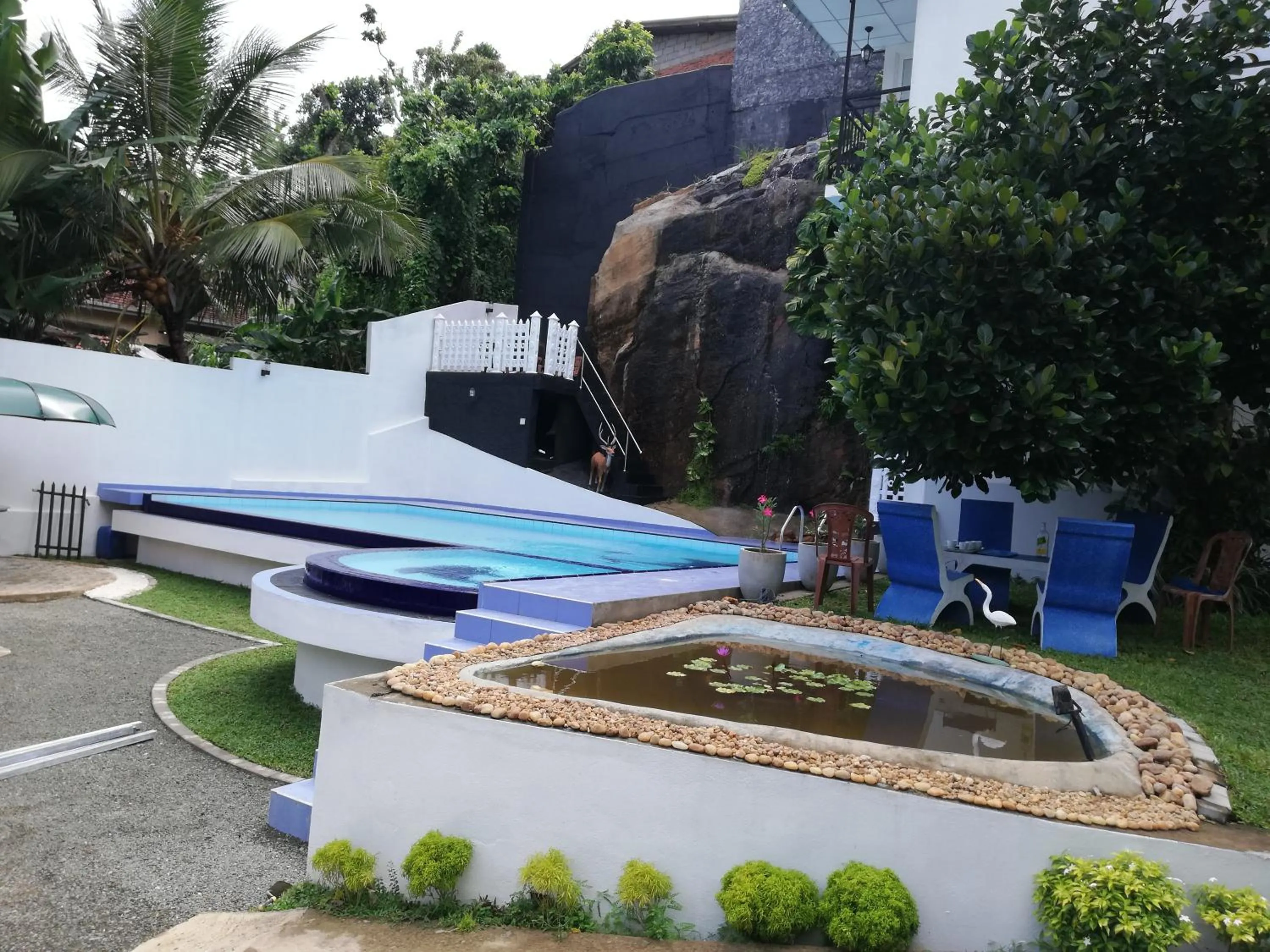 Standard Double Room in Elliot Nature Resort