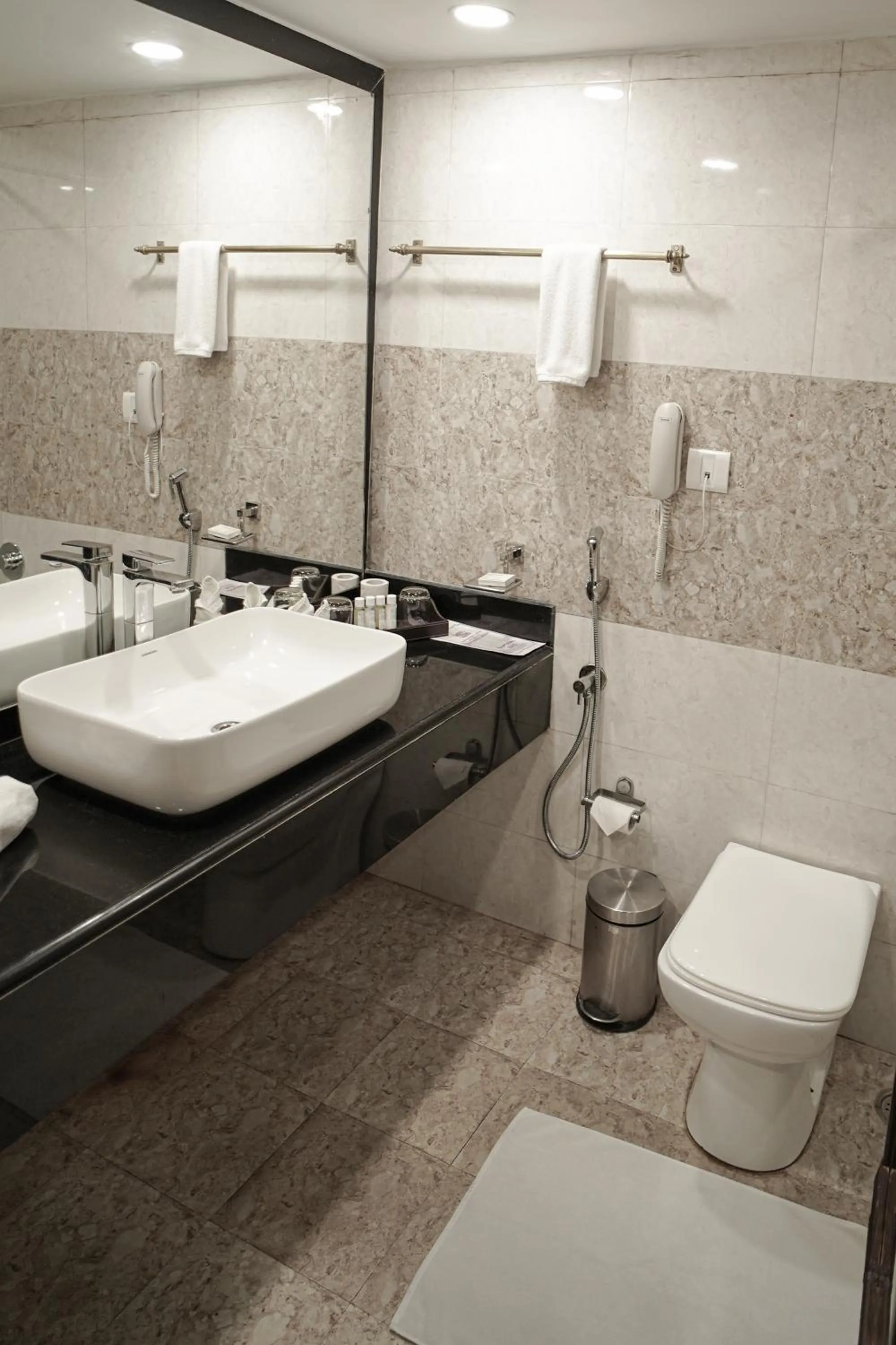 Executive Double Room - 15% Discount on F&B in Ambassador Ajanta Hotel, Aurangabad