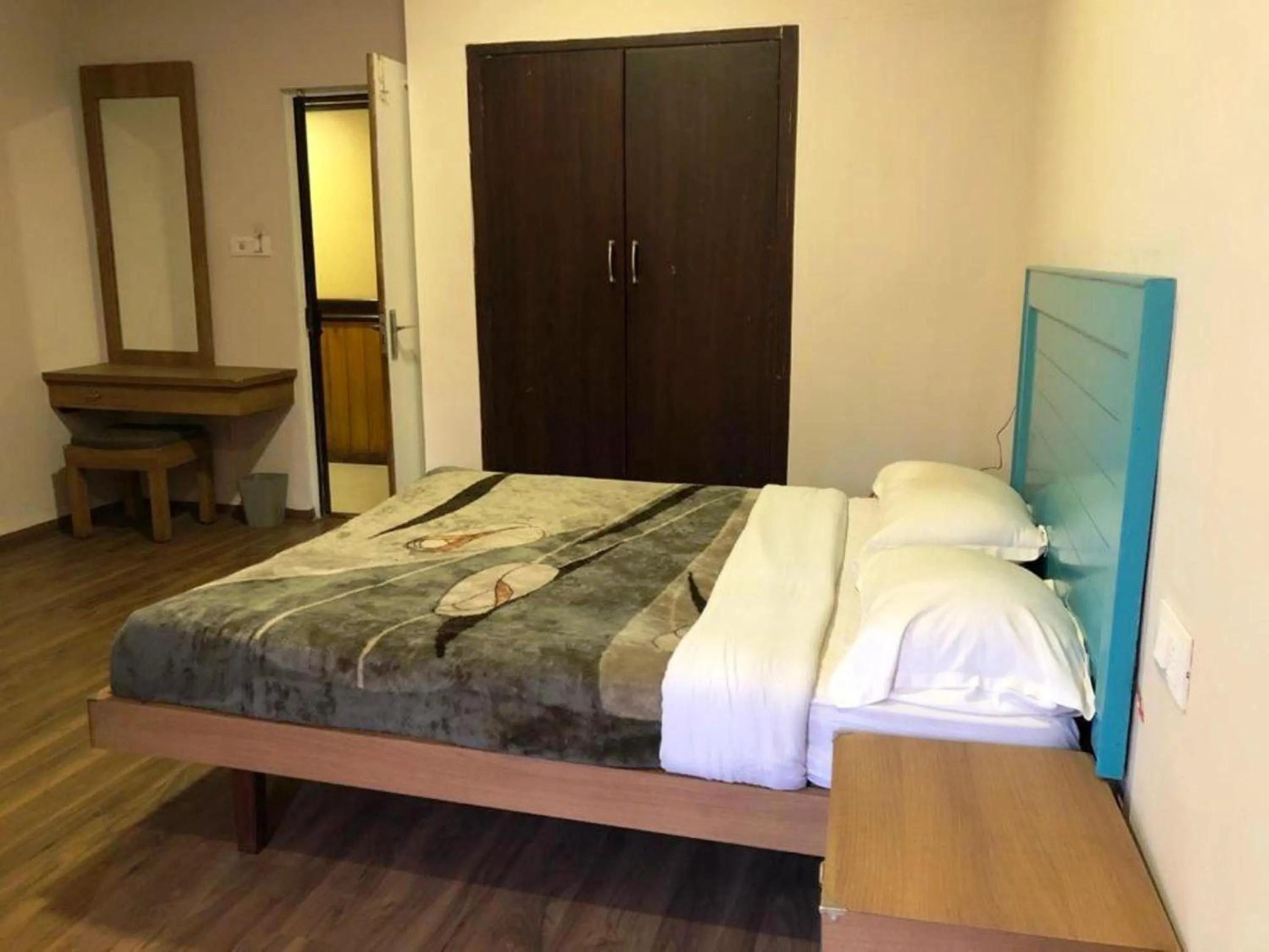 Large Double Room - single occupancy in Hotel Preethi Palace